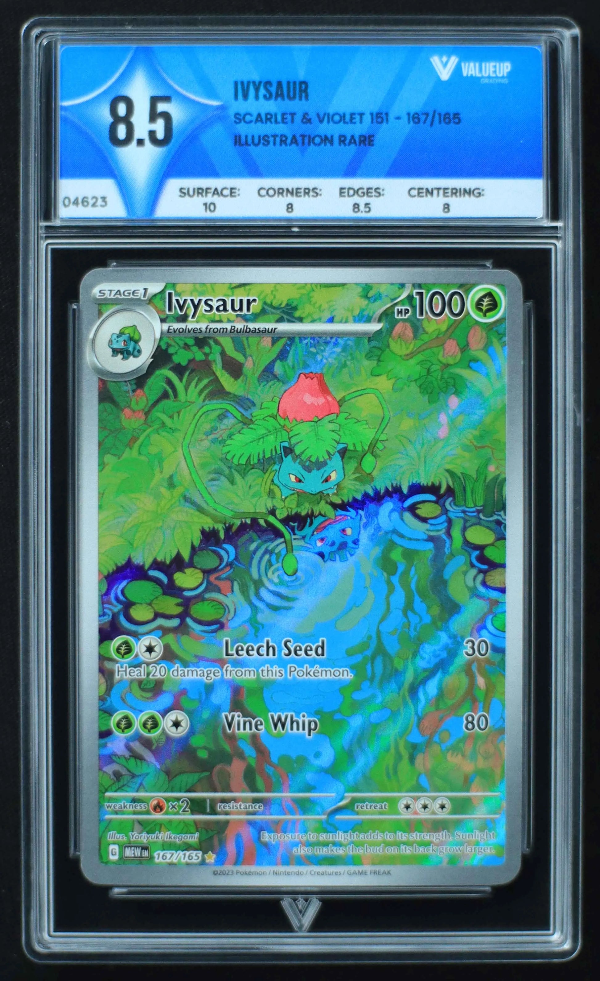 04623 IVYSAUR - ValueUp