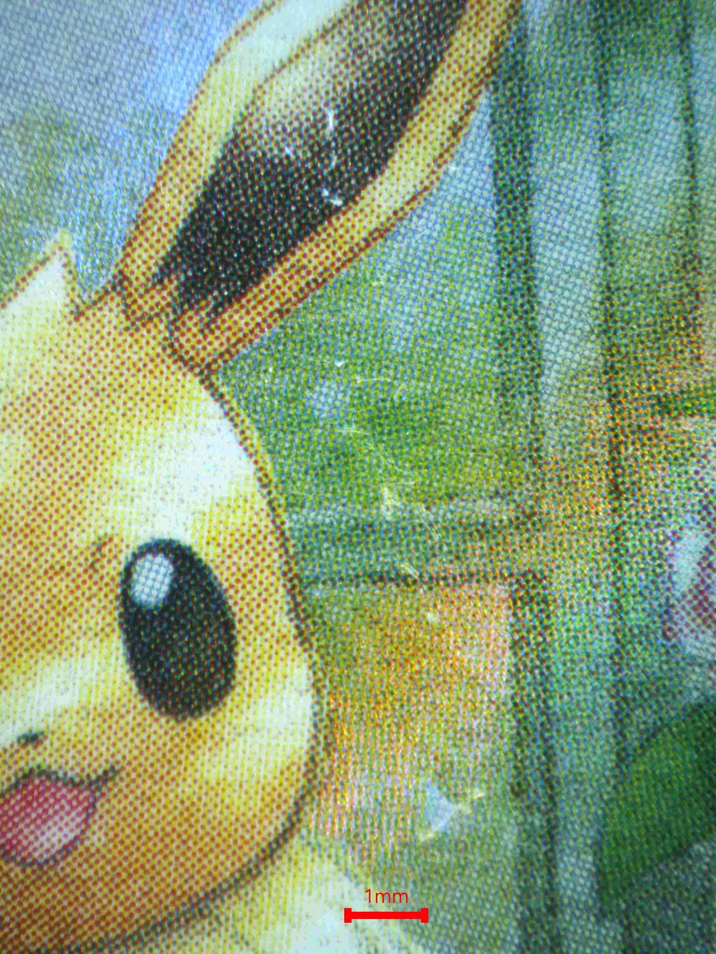 04645 EEVEE (JAPANESE) - ValueUp