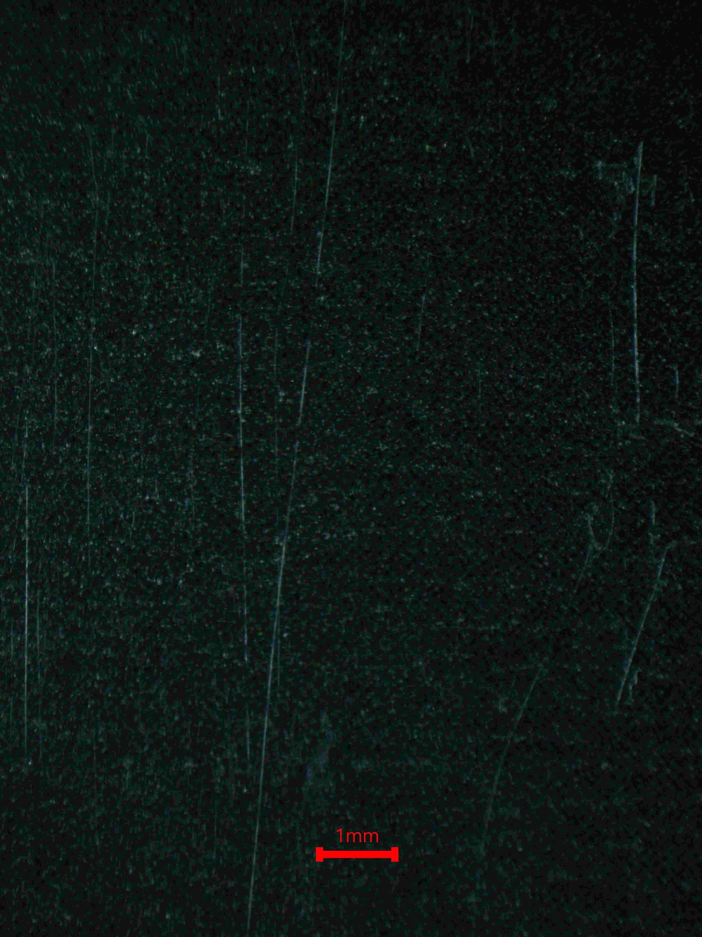 04650 JINZO (NORTH AMERICA) - ValueUp