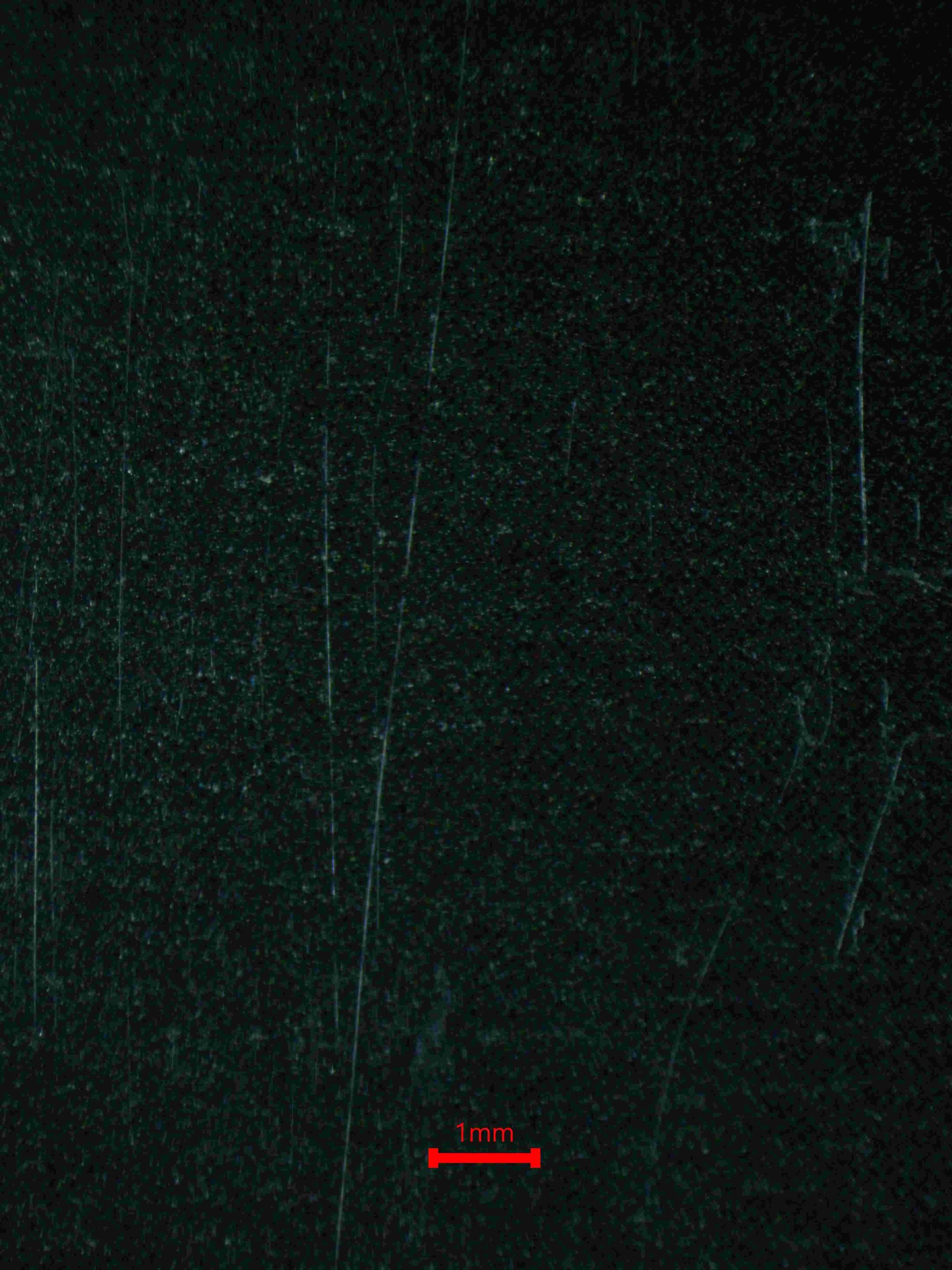 04650 JINZO (NORTH AMERICA) - ValueUp