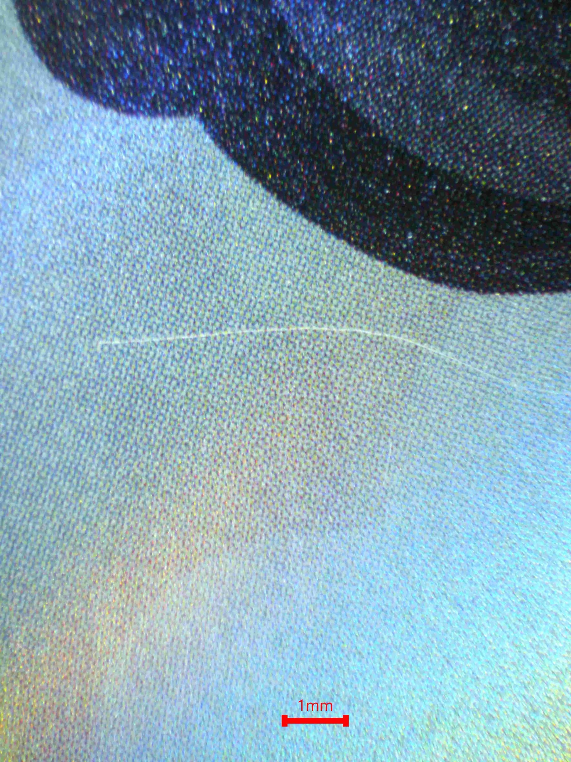 04693 CHARMELEON (JAPANESE) - ValueUp