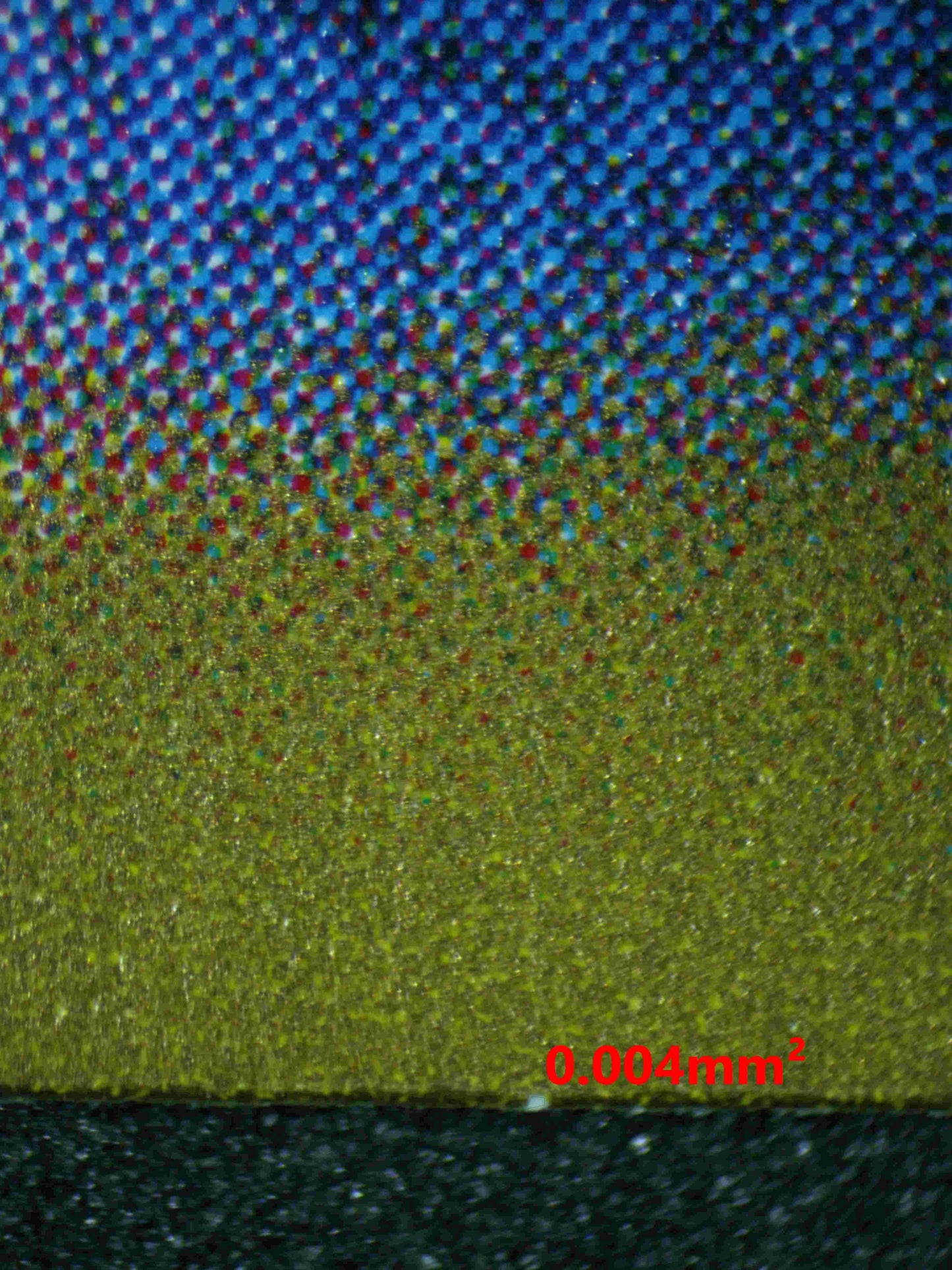 04694 WARTORTLE (JAPANESE) - ValueUp