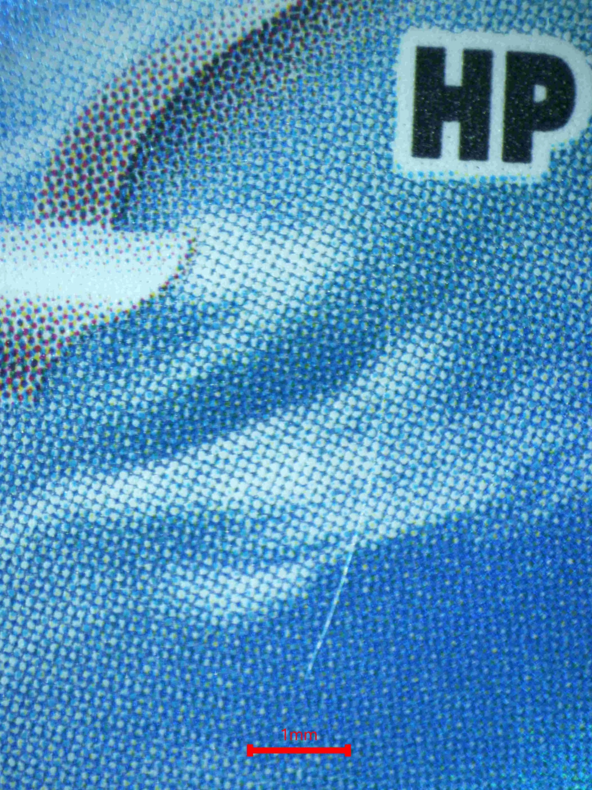 04694 WARTORTLE (JAPANESE) - ValueUp