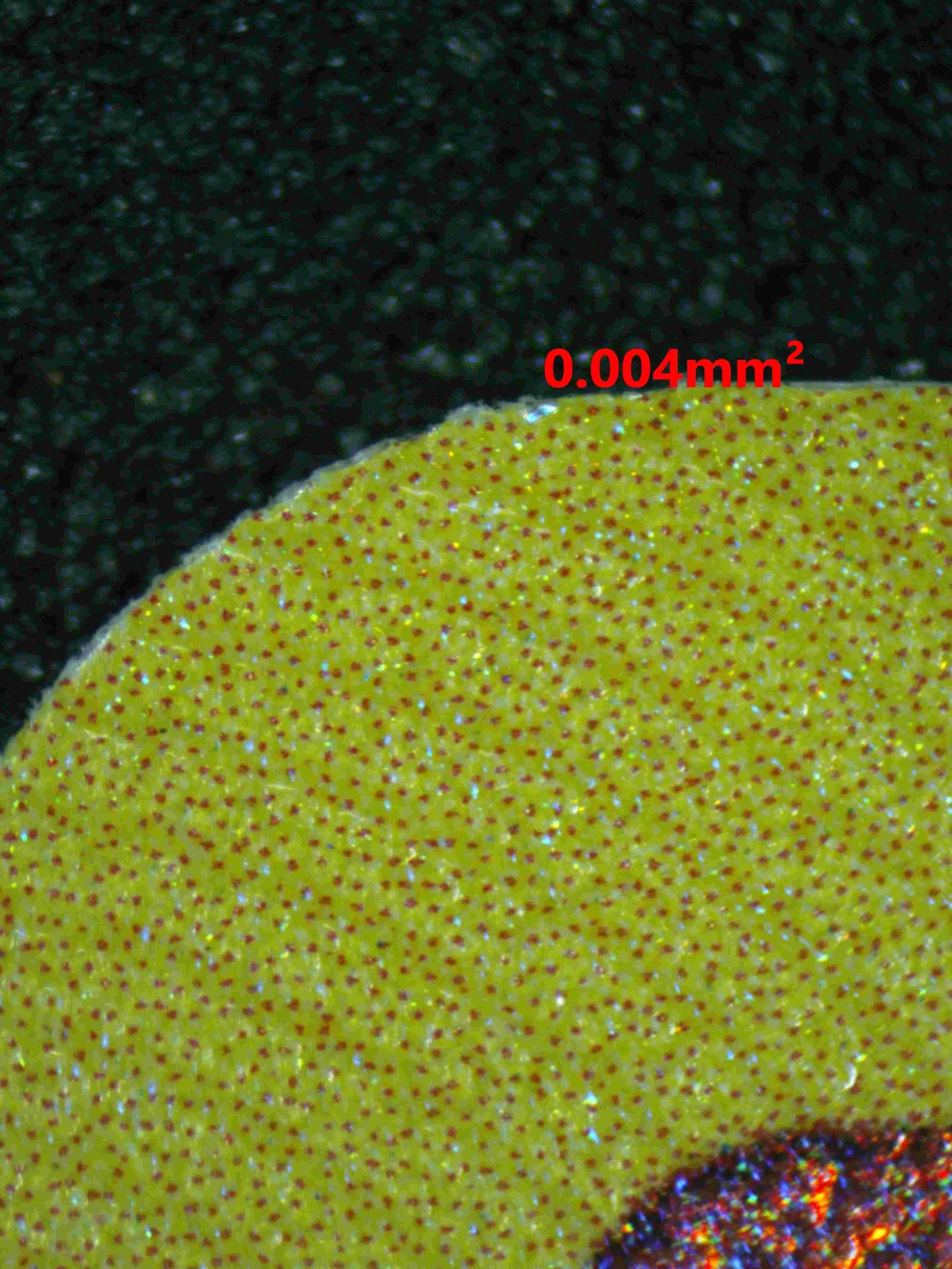 04697 RADIANT CHARIZARD - ValueUp