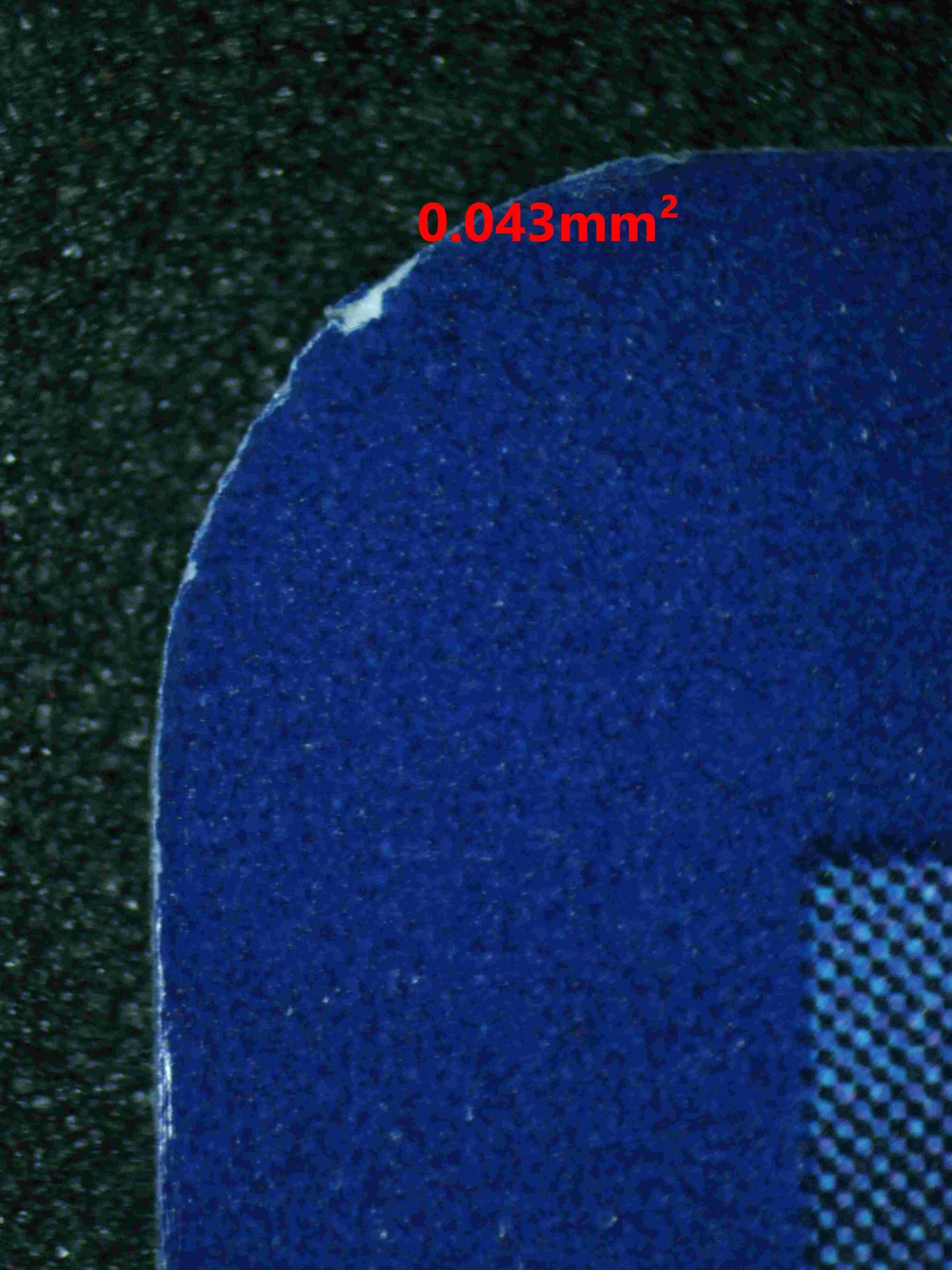 04708 HOUNDOOM - ValueUp