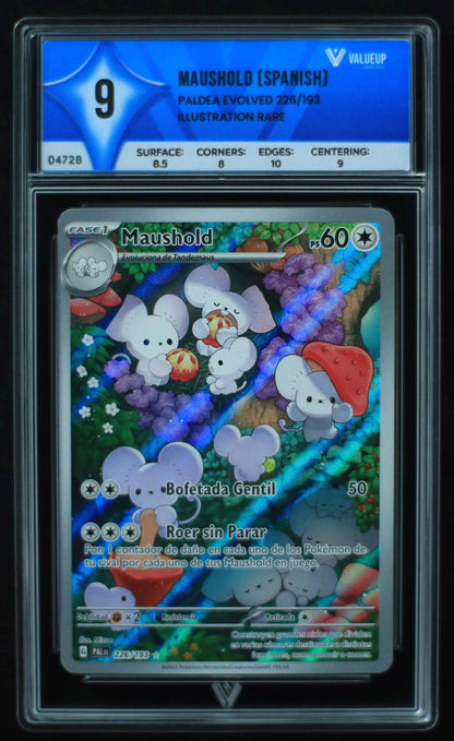 04728 MAUSHOLD (SPANISH) - ValueUp