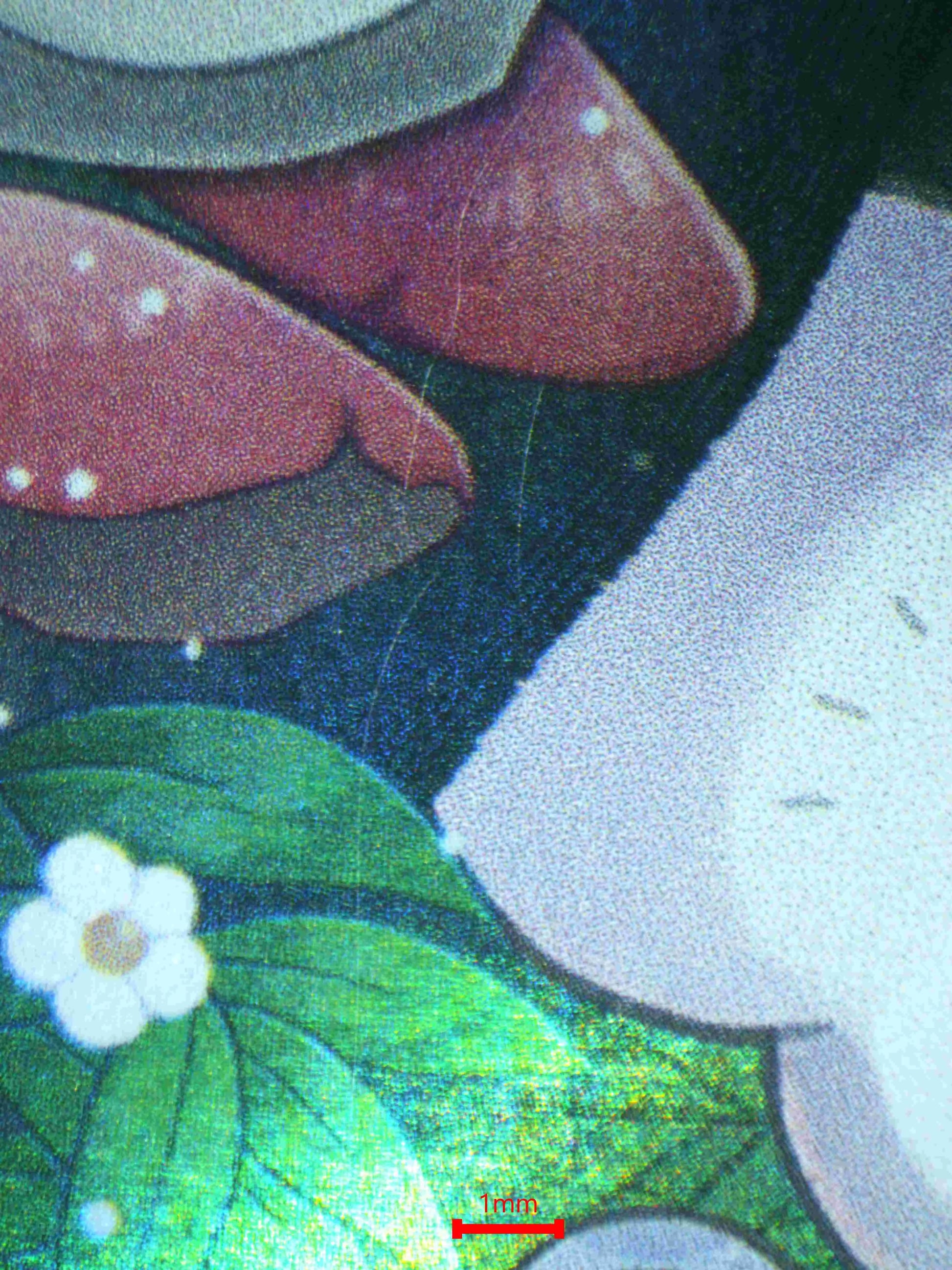 04728 MAUSHOLD (SPANISH) - ValueUp