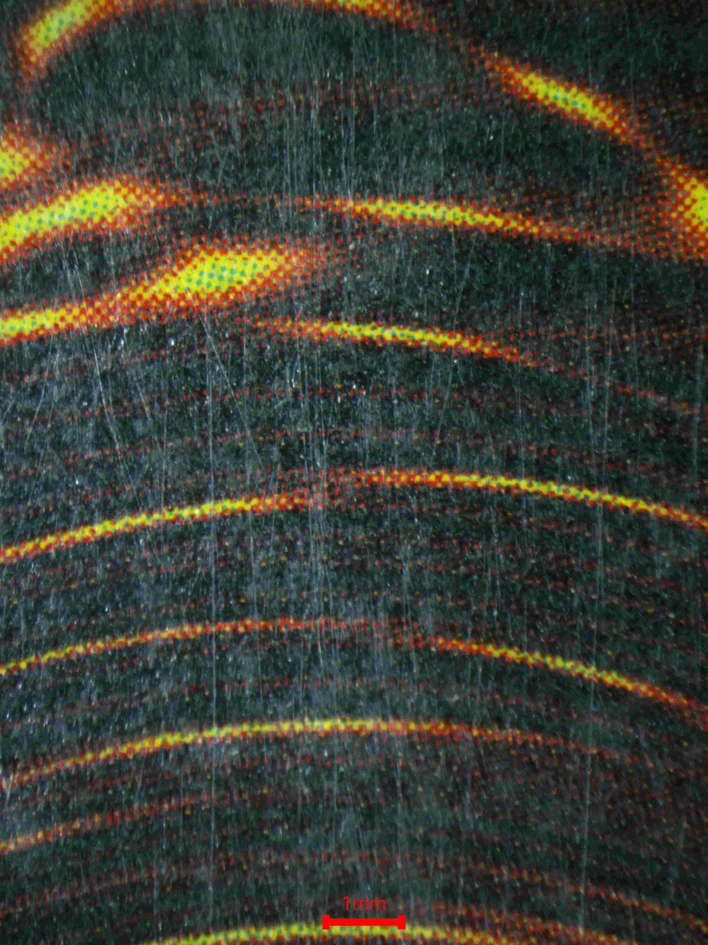 04754 BLUE - EYES WHITE DRAGON (NORTH AMERICA) - ValueUp