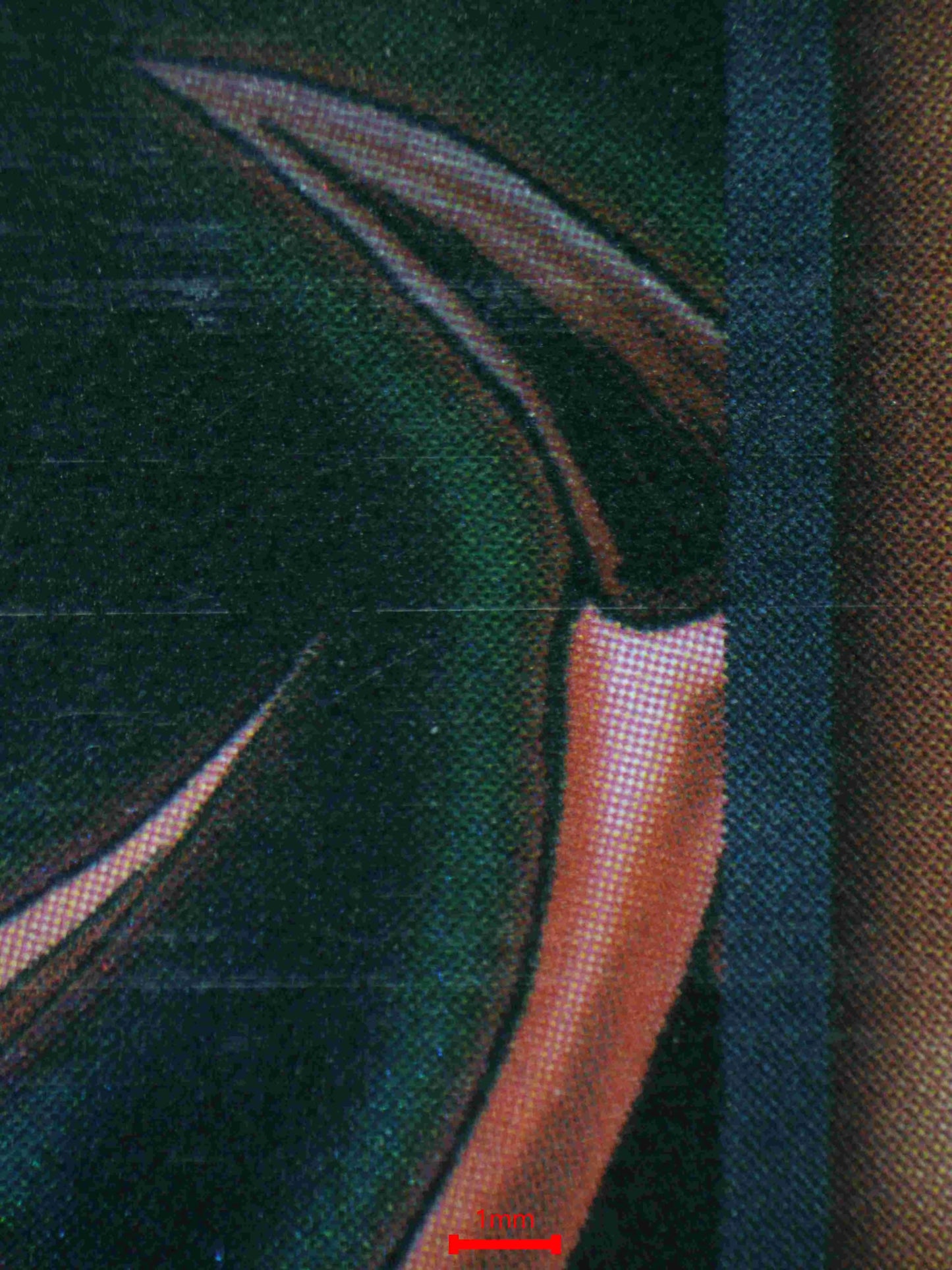 04760 SLIFER THE SKY DRAGON - ValueUp