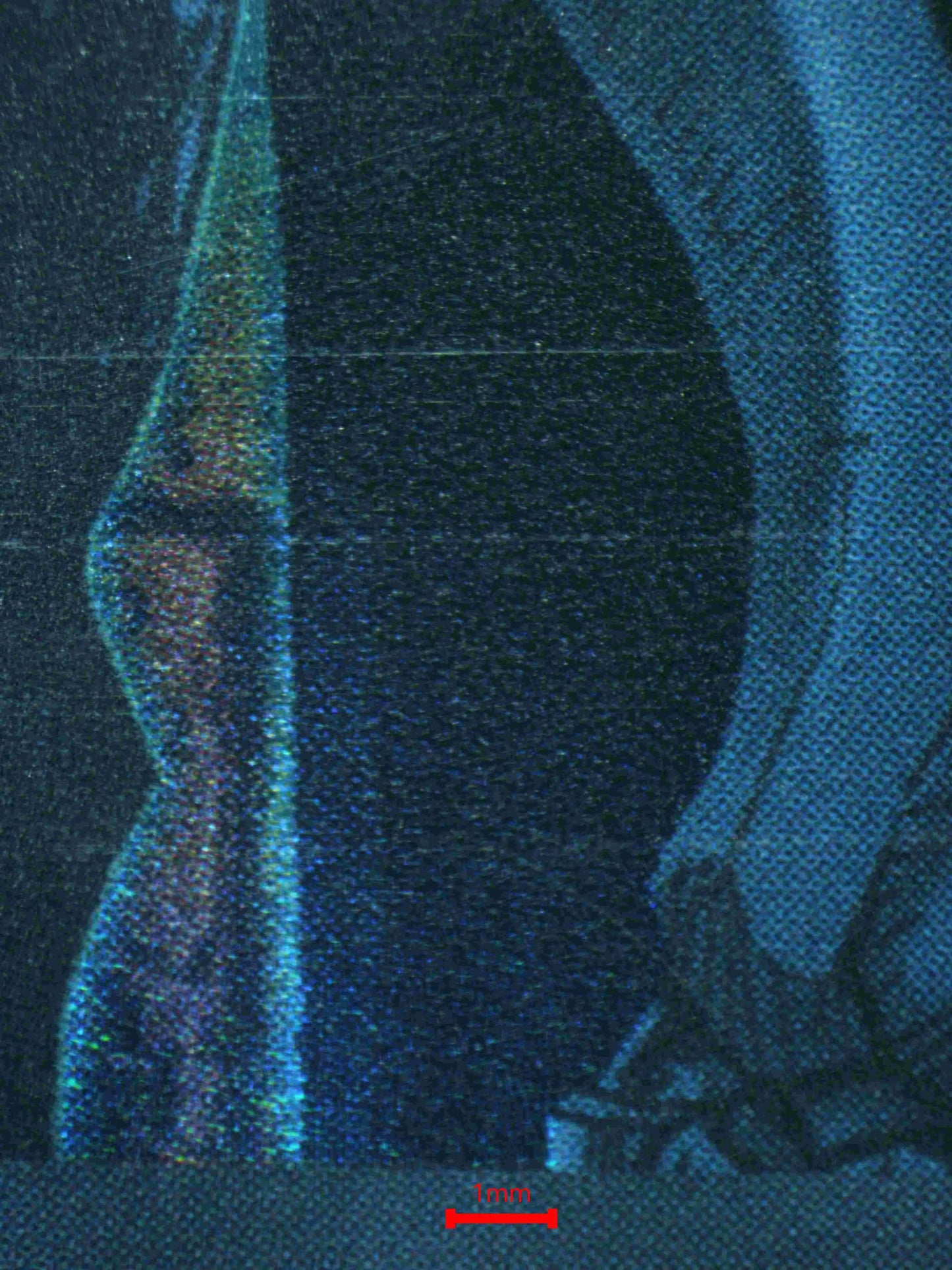 04761 OBELISK THE TORMENTOR - ValueUp