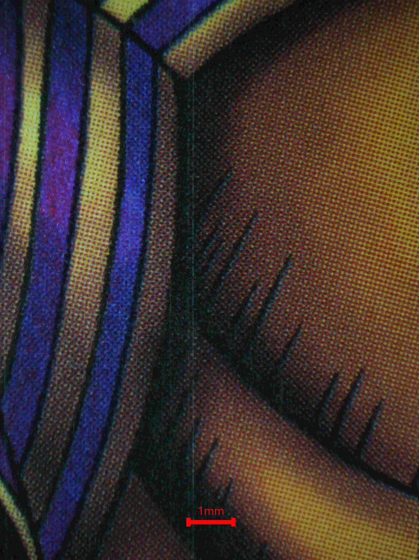 04766 EXODIA THE FORBIDDEN ONE - ValueUp