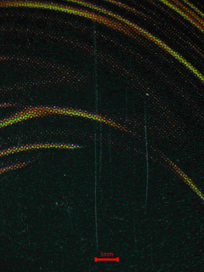 04767 RIGHT LEG OF THE FORBIDDEN ONE - ValueUp