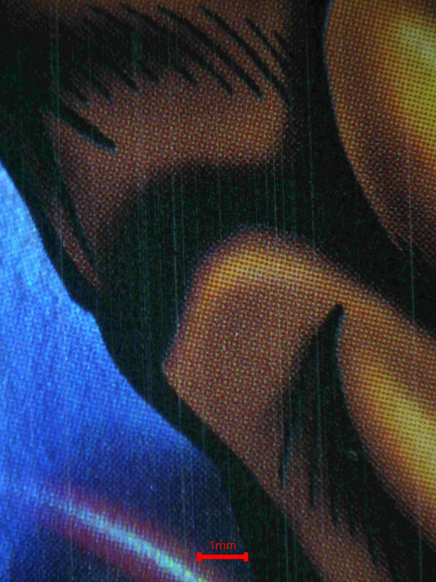 04768 LEFT LEG OF THE FORBIDDEN ONE - ValueUp