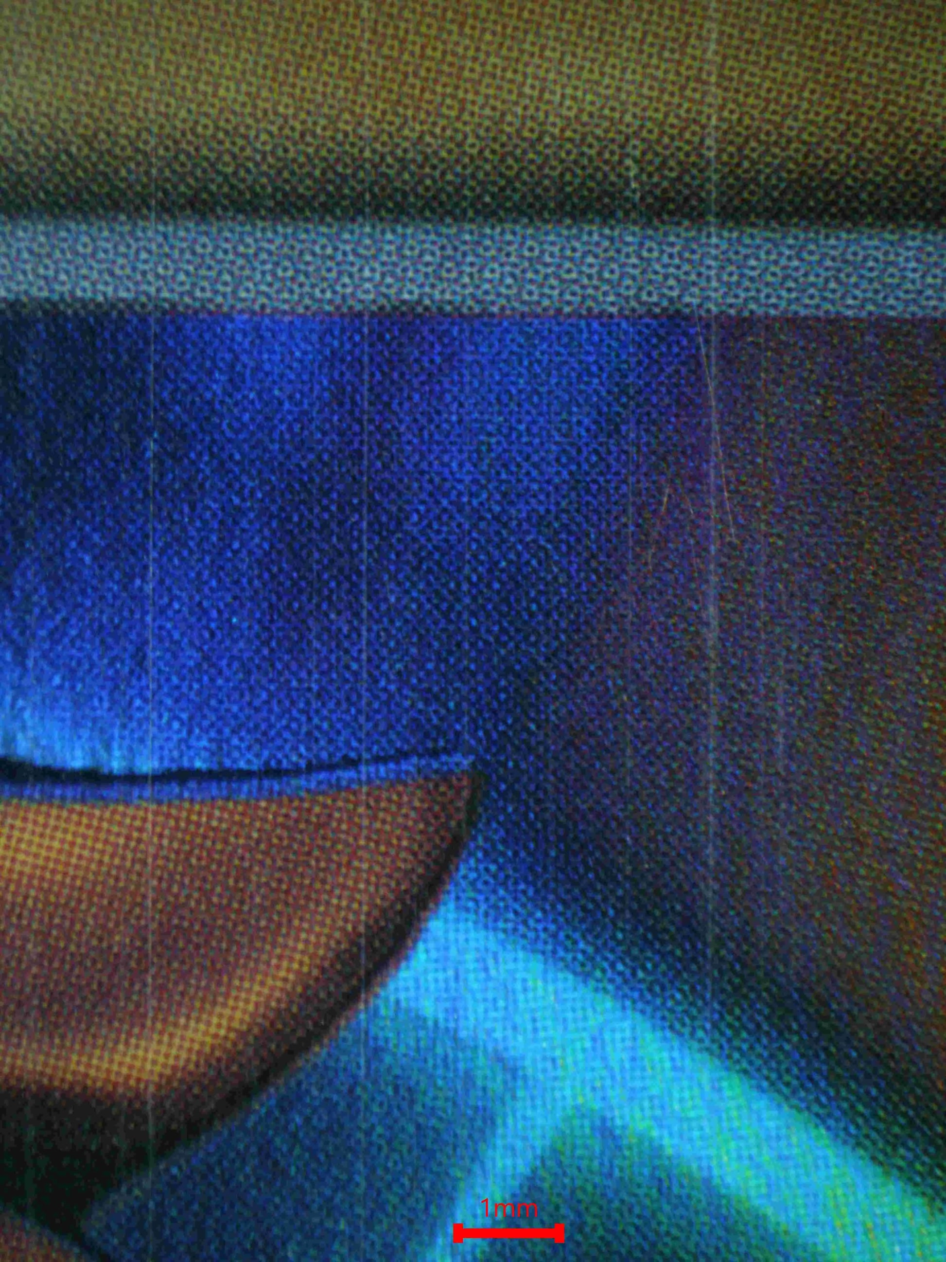 04770 LEFT ARM OF THE FORBIDDEN ONE - ValueUp