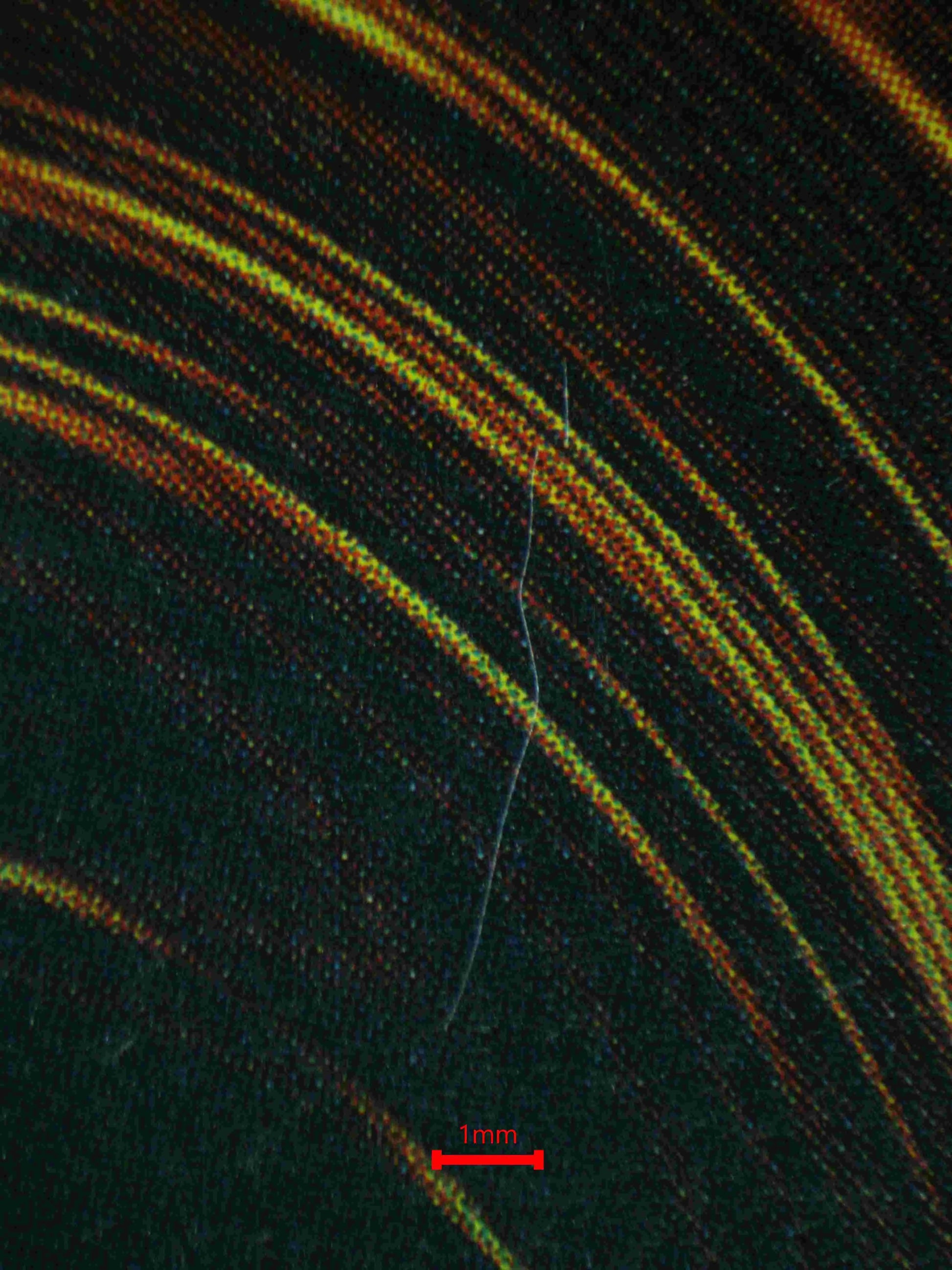 04771 MAGICIAN OF BLACK CHAOS - ValueUp