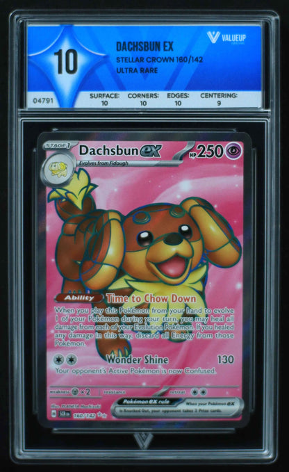 04791 DACHSBUN EX - ValueUp