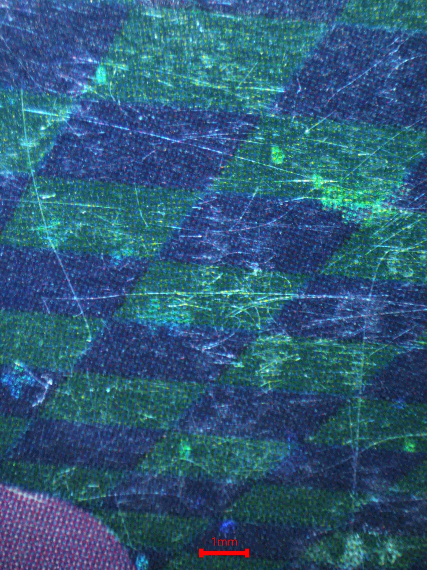 04819 DITTO (FRENCH) - ValueUp