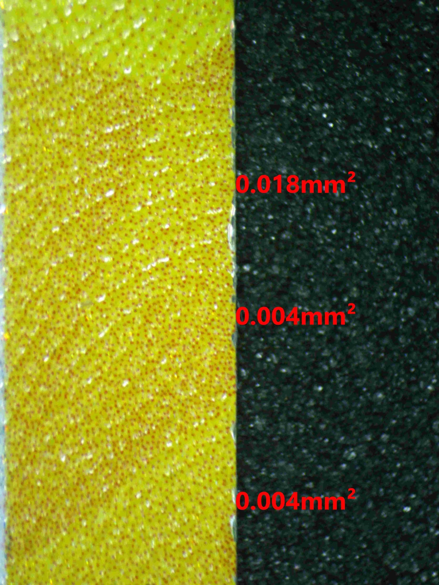 04831 ALOLAN EXEGGUTOR EX - ValueUp