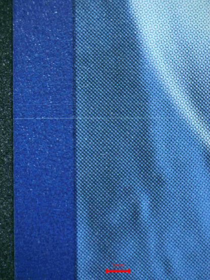 04831 ALOLAN EXEGGUTOR EX - ValueUp