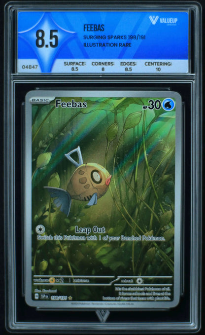 04847 FEEBAS - ValueUp