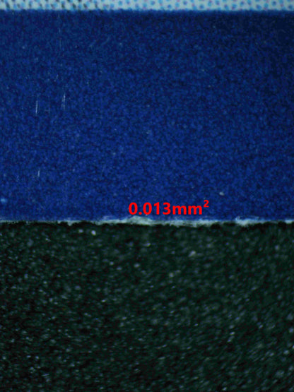 04853 SHIINOTIC (SPANISH) - ValueUp