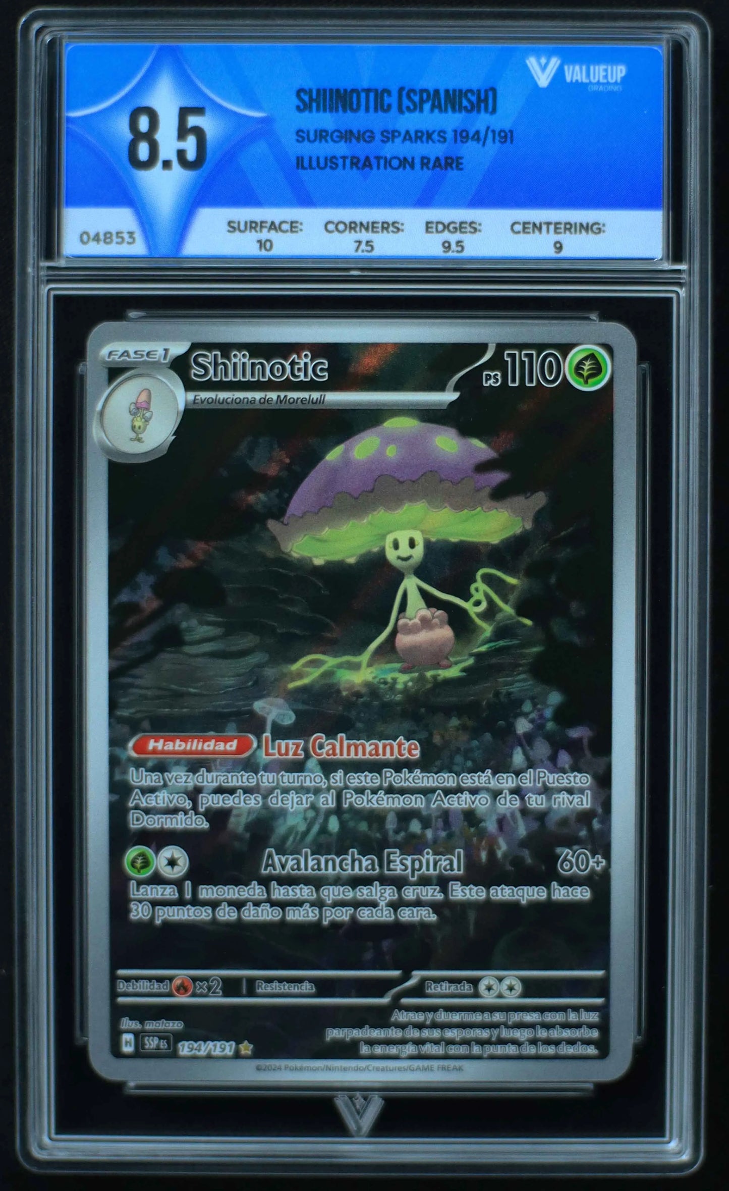 04853 SHIINOTIC (SPANISH) - ValueUp