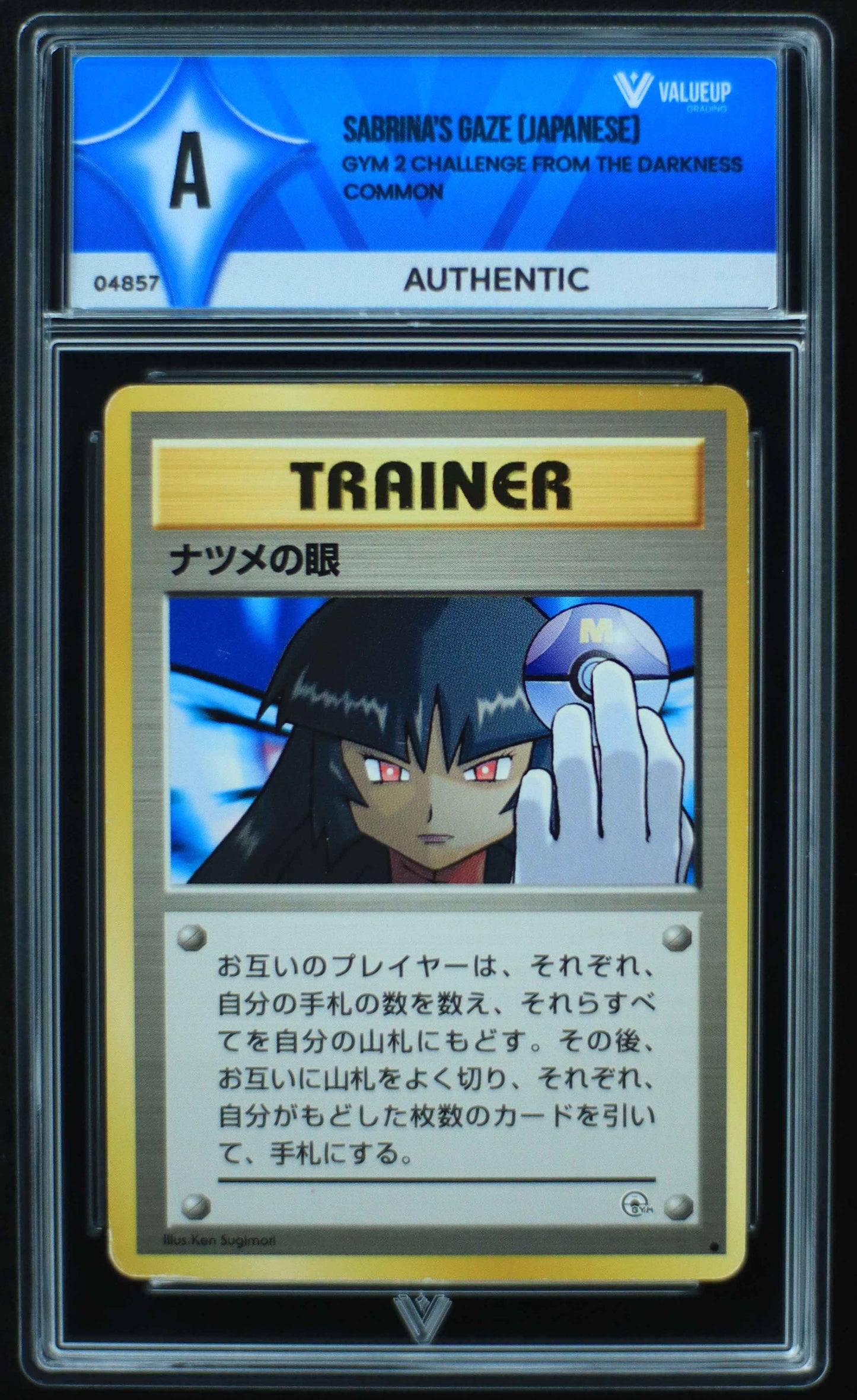 04857 SABRINA'S GAZE (JAPANESE) - ValueUp