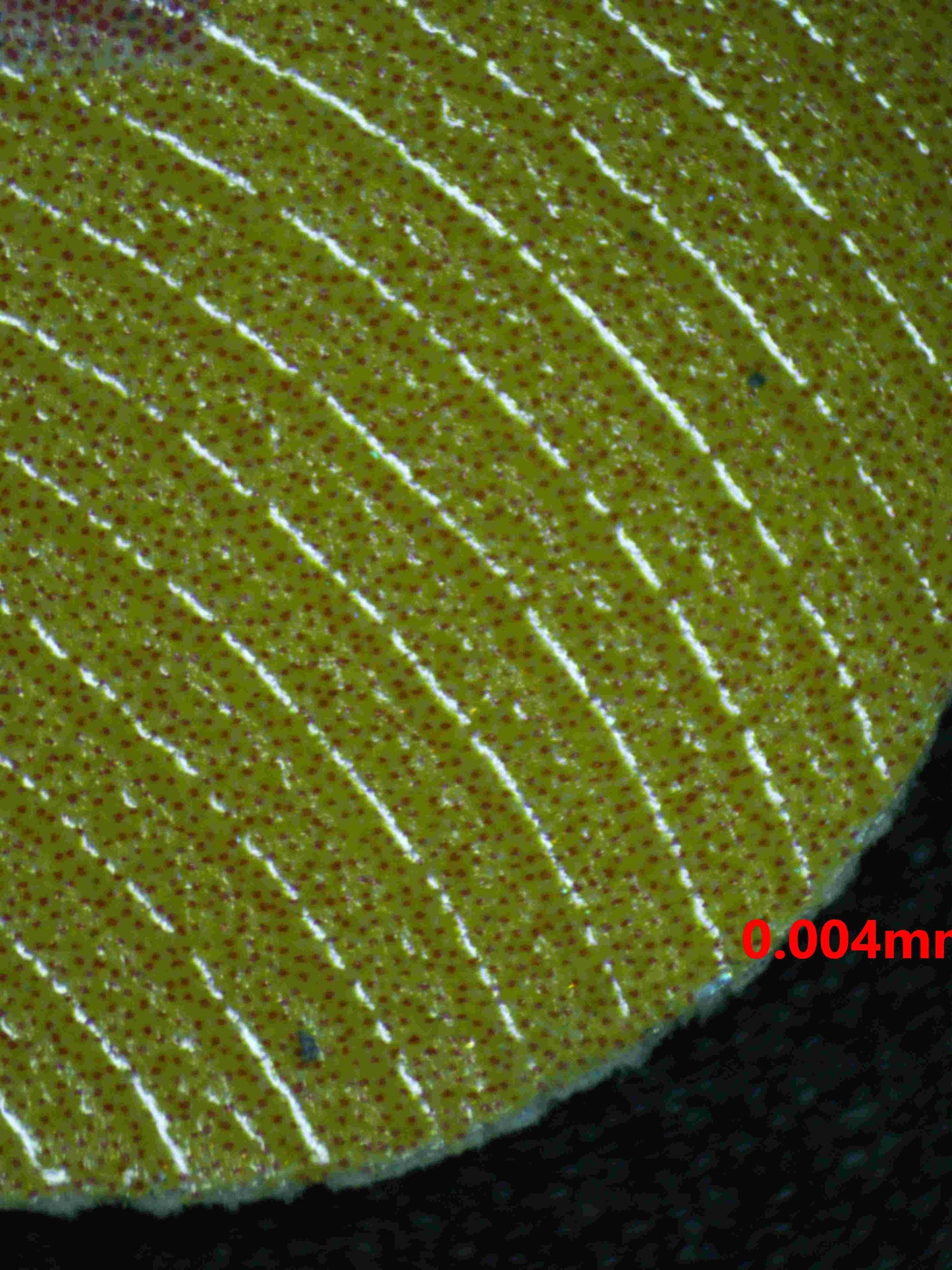 04902 CHARIZARD - ValueUp