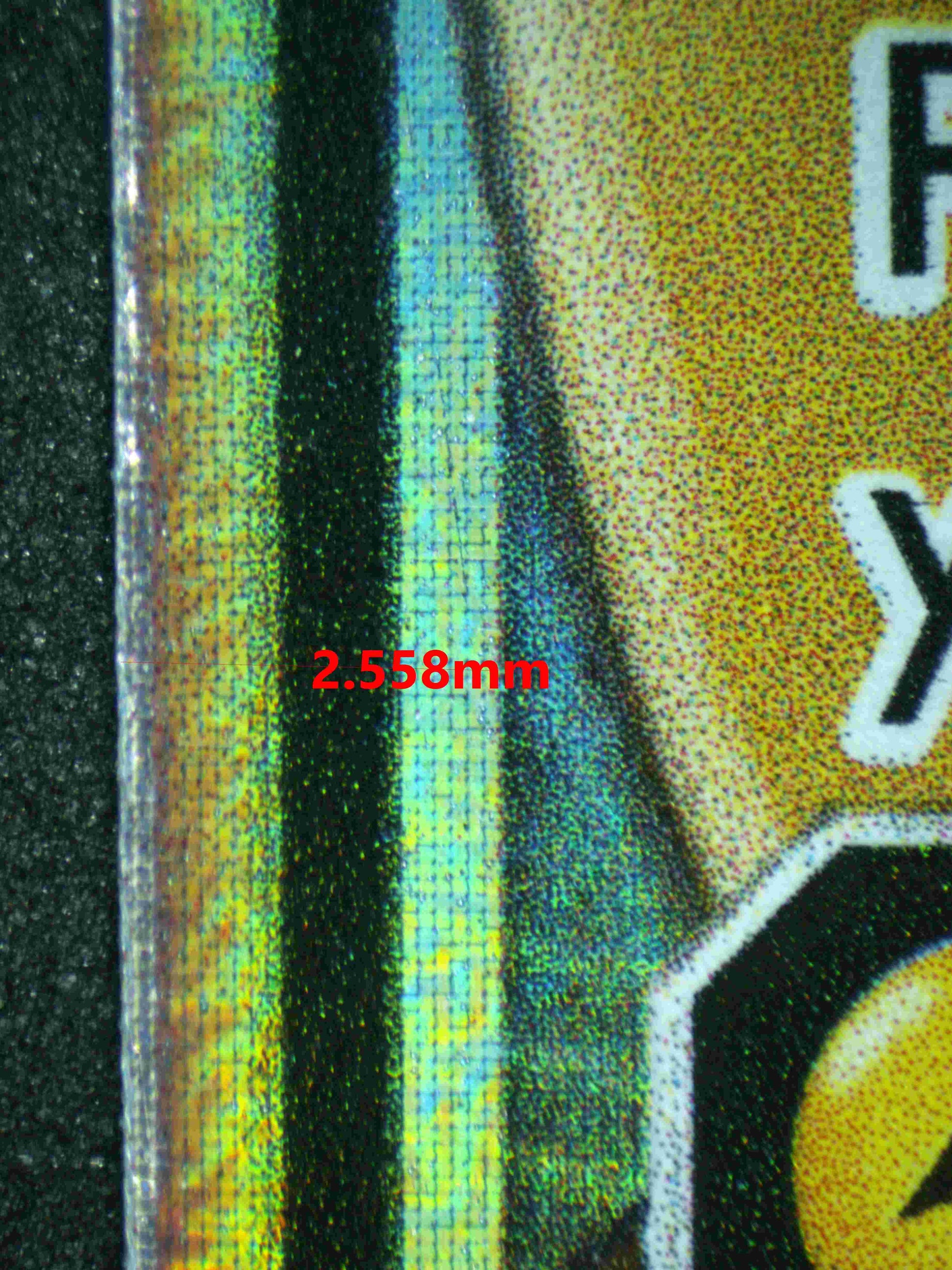 04906 RAICHU & ALOLAN RAICHU GX - ValueUp