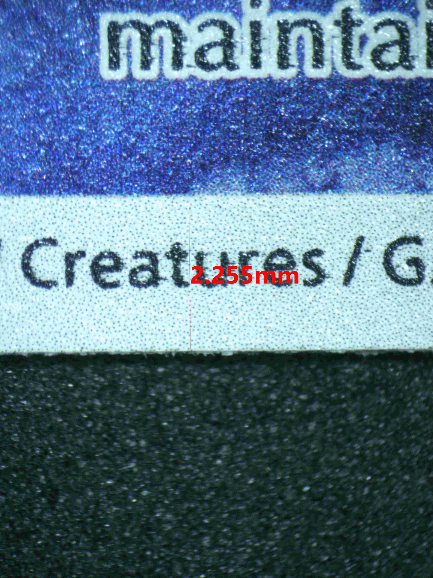 04921 WARTORTLE - ValueUp