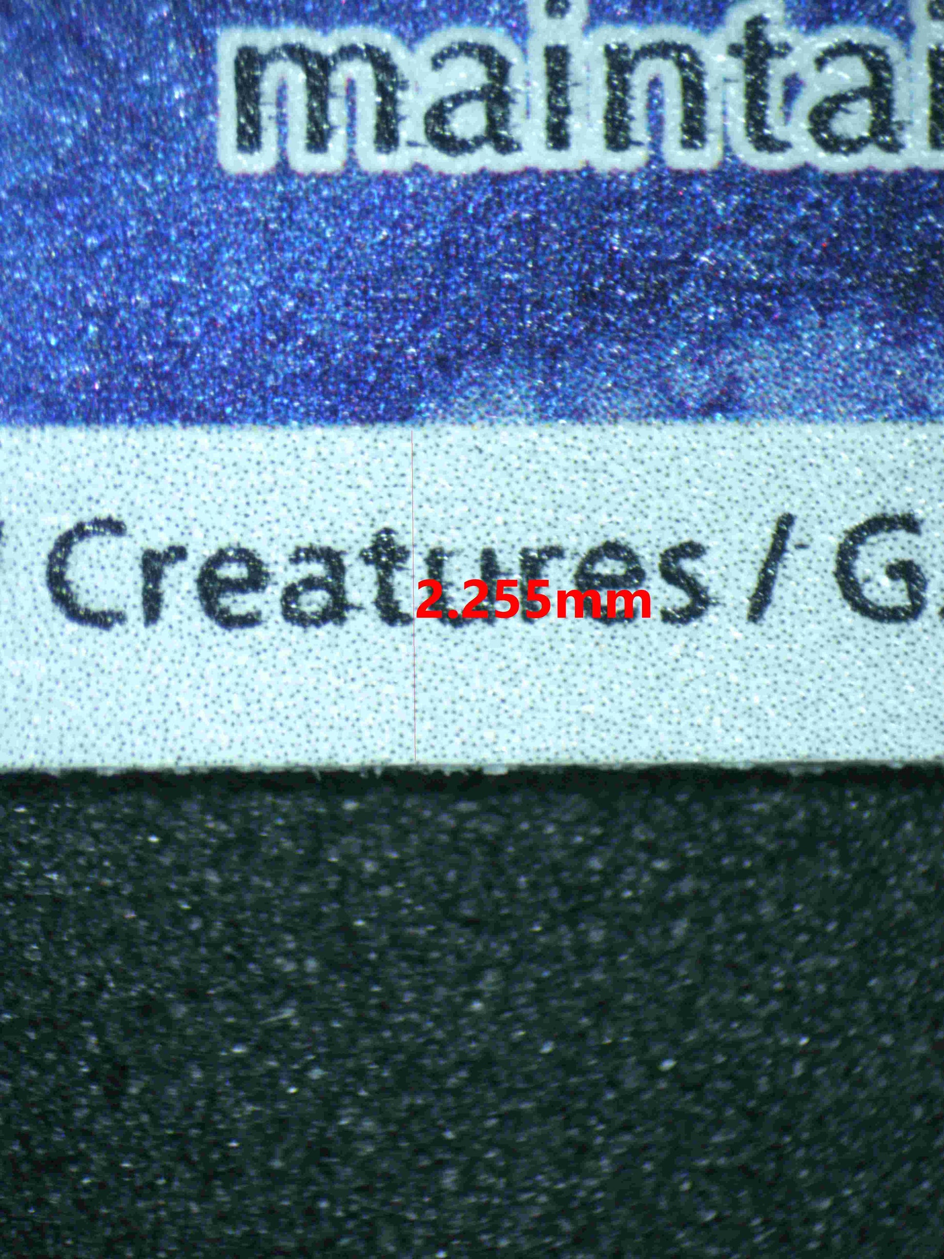 04921 WARTORTLE - ValueUp