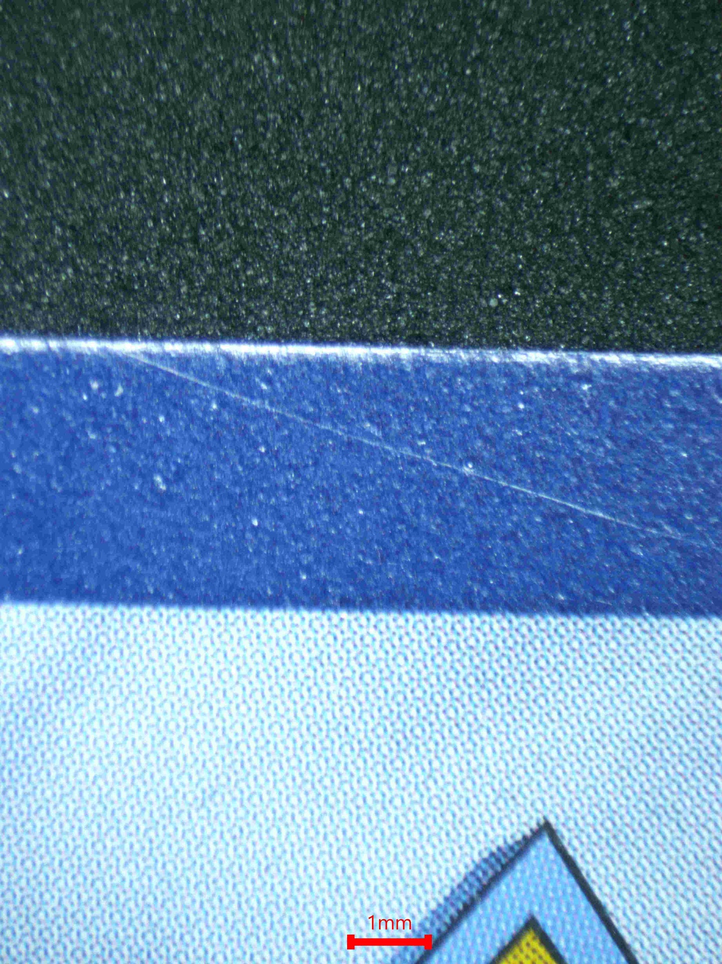 04921 WARTORTLE - ValueUp