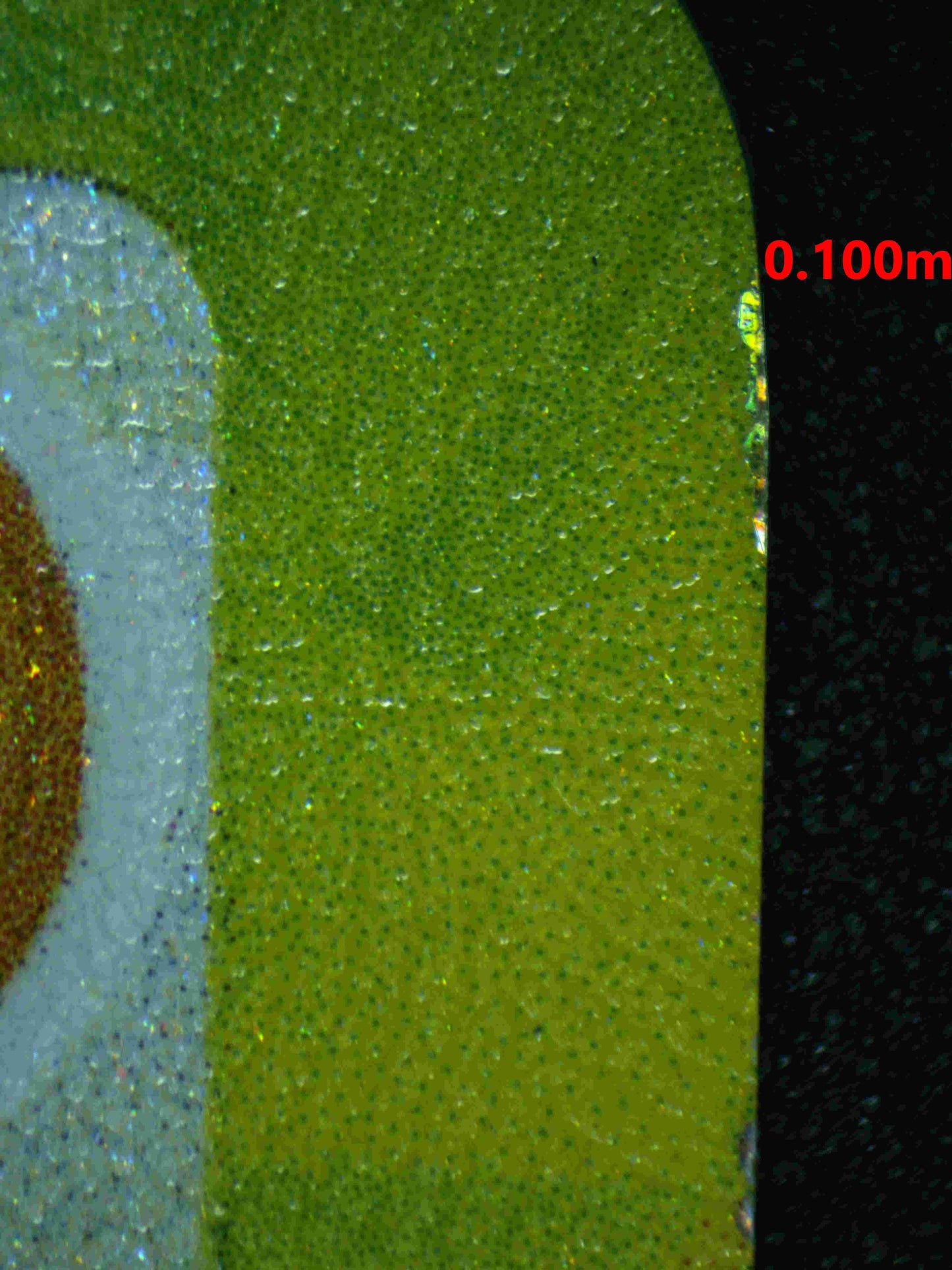 04937 PIKACHU EX - ValueUp