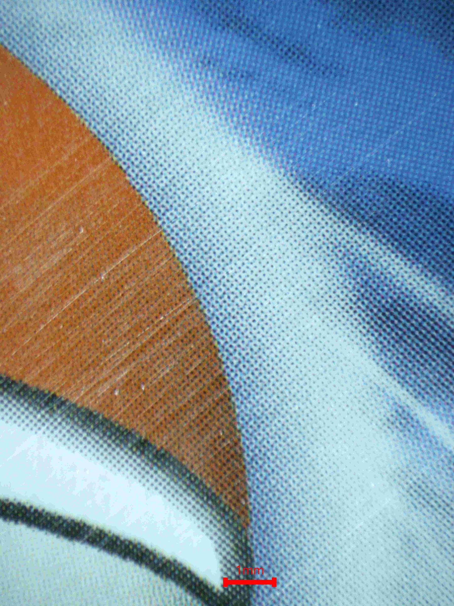 04939 CHARIZARD EX - ValueUp