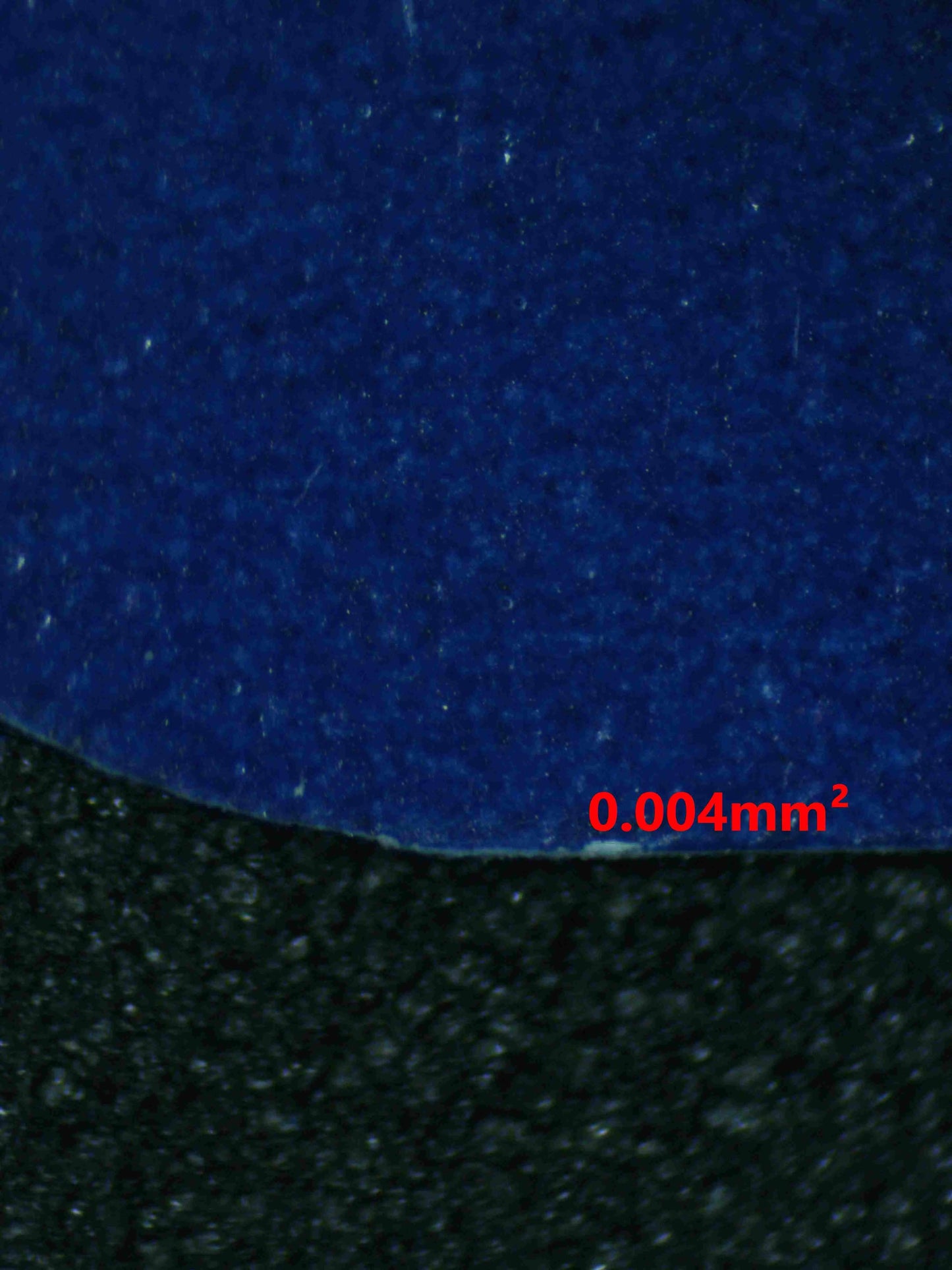 04948 GALVANTULA EX - ValueUp