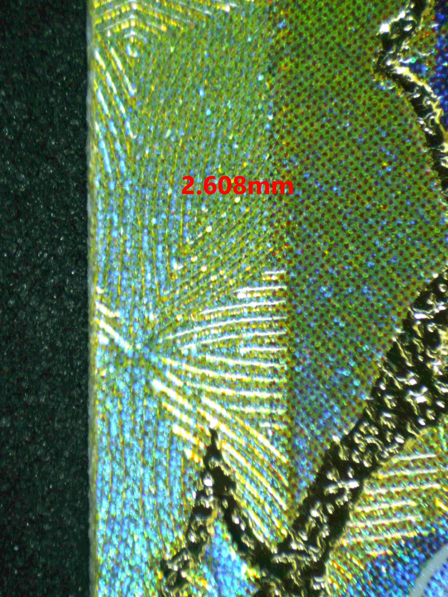 04964 TERAPAGOS EX (JAPANESE) - ValueUp