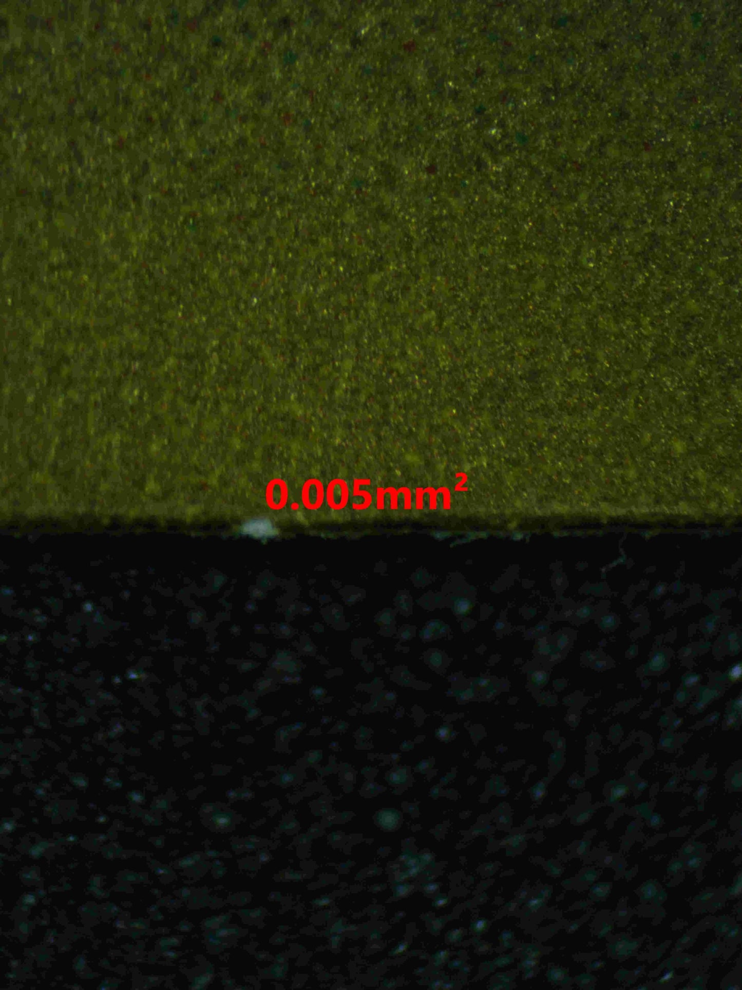 04966 PALAFIN EX (JAPANESE) - ValueUp