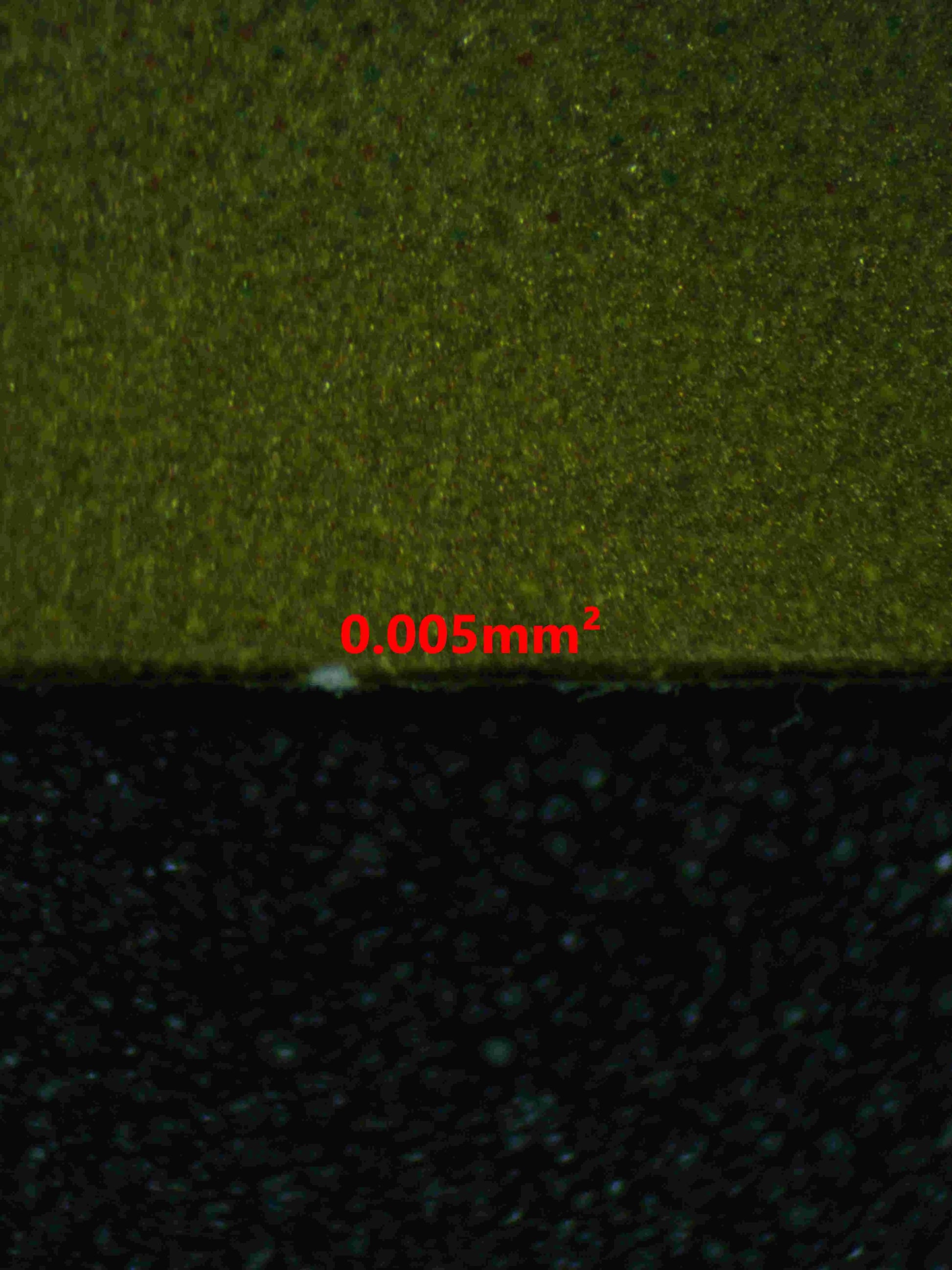 04966 PALAFIN EX (JAPANESE) - ValueUp