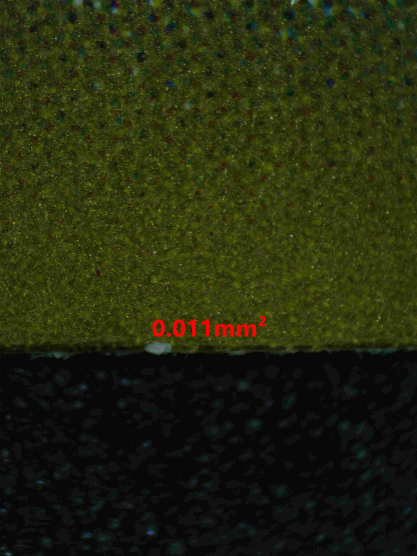 04967 PALAFIN EX (JAPANESE) - ValueUp