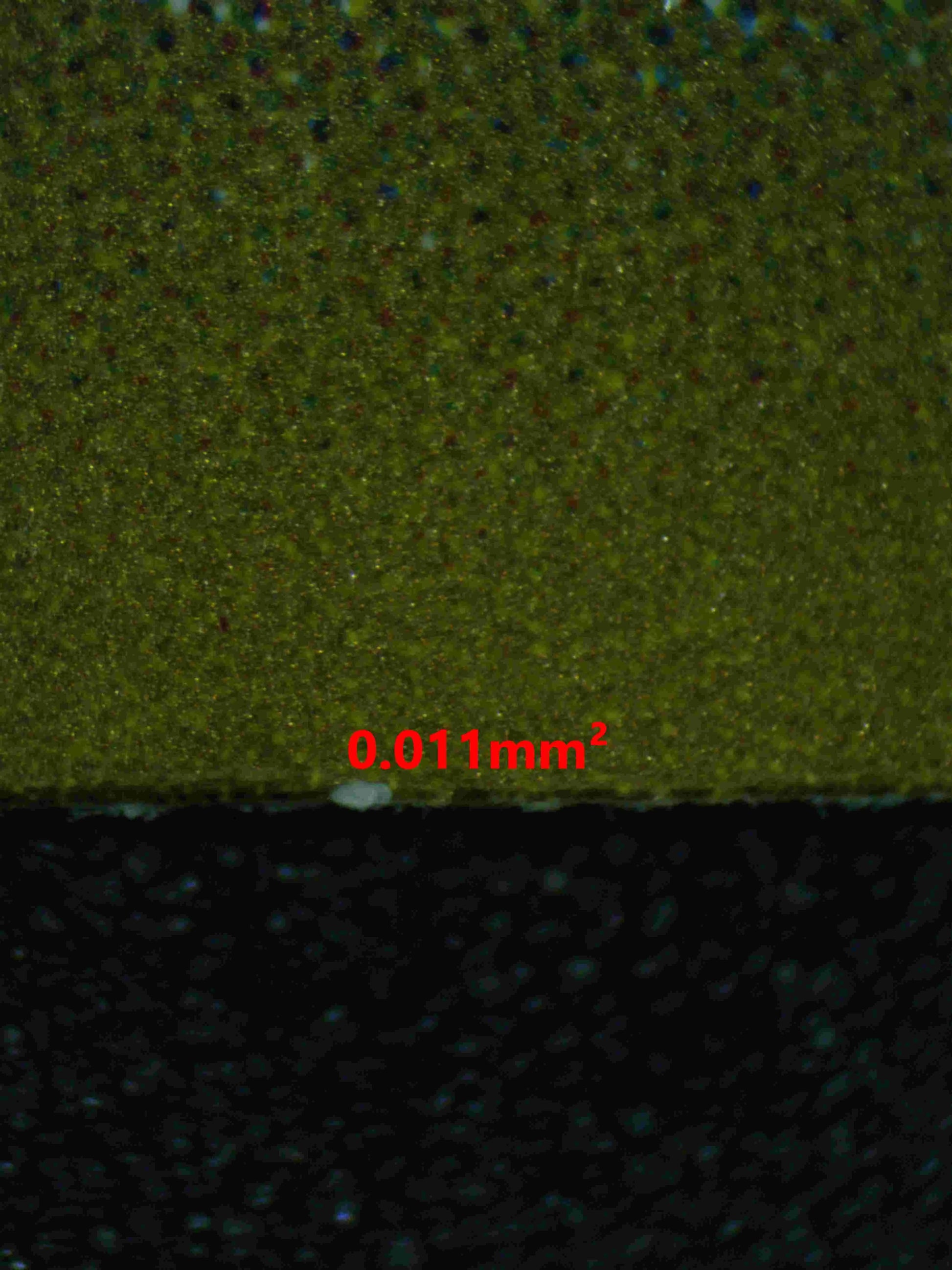 04967 PALAFIN EX (JAPANESE) - ValueUp