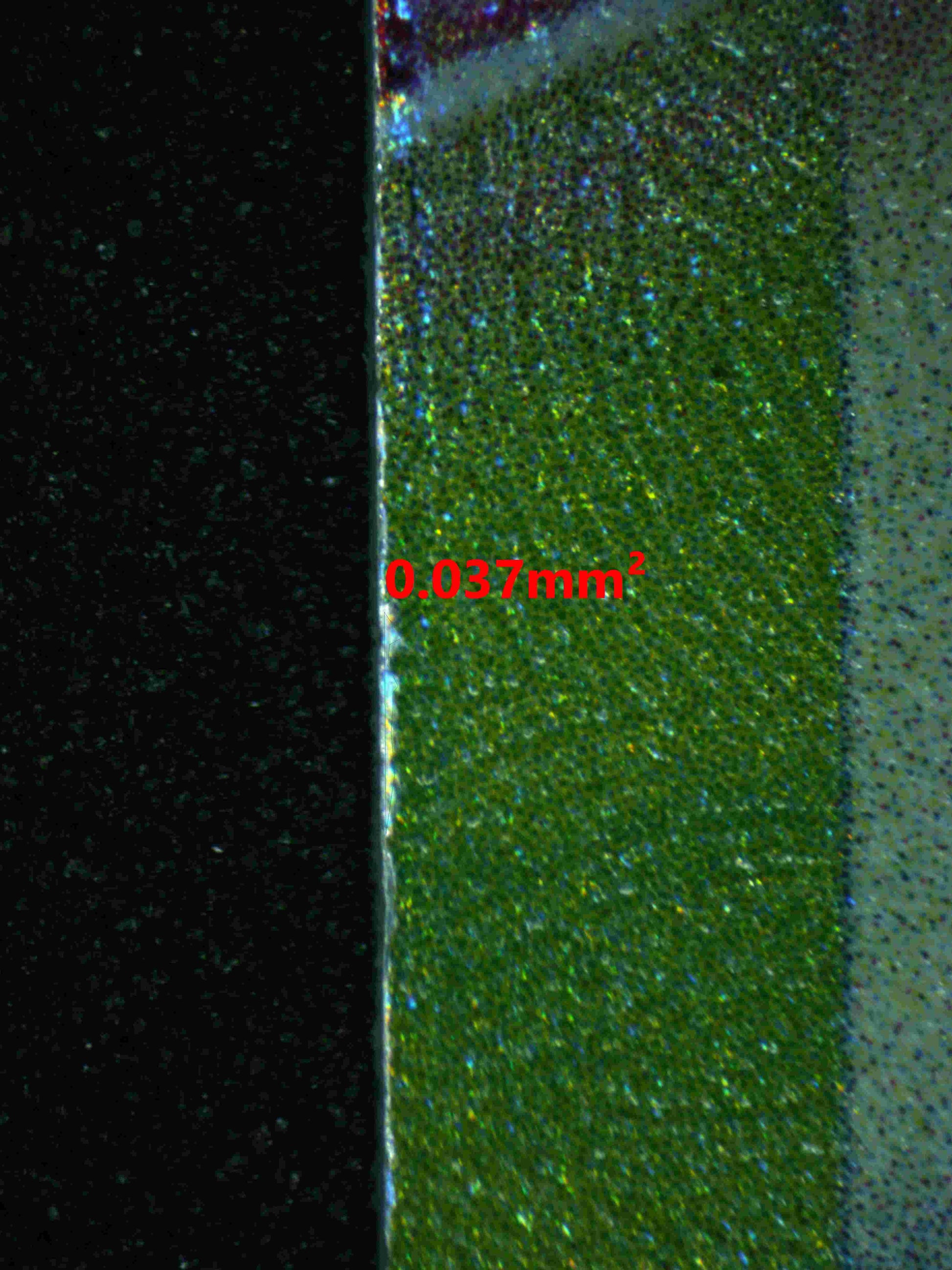 05091 EEVEE EX - ValueUp