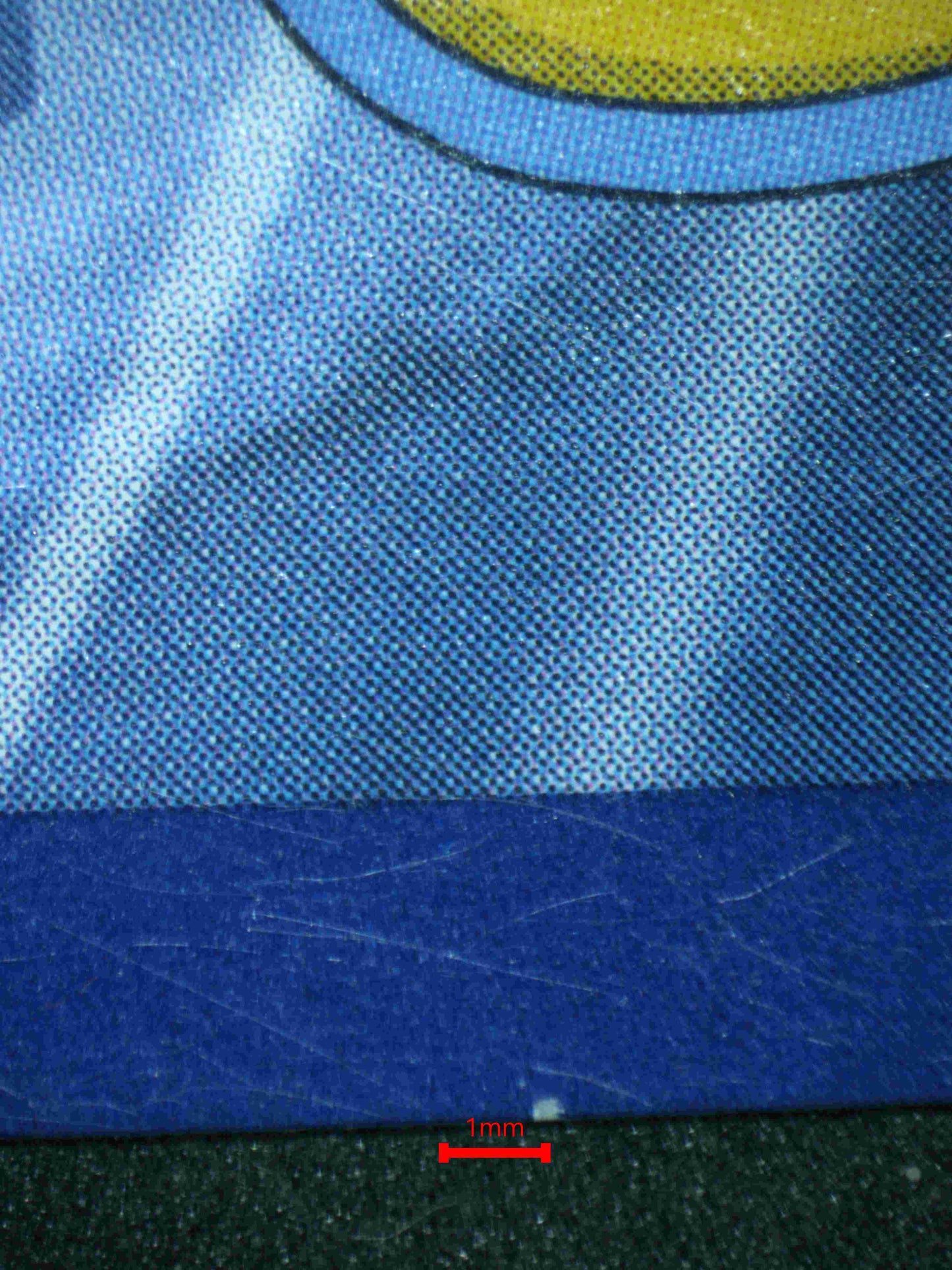 05091 EEVEE EX - ValueUp