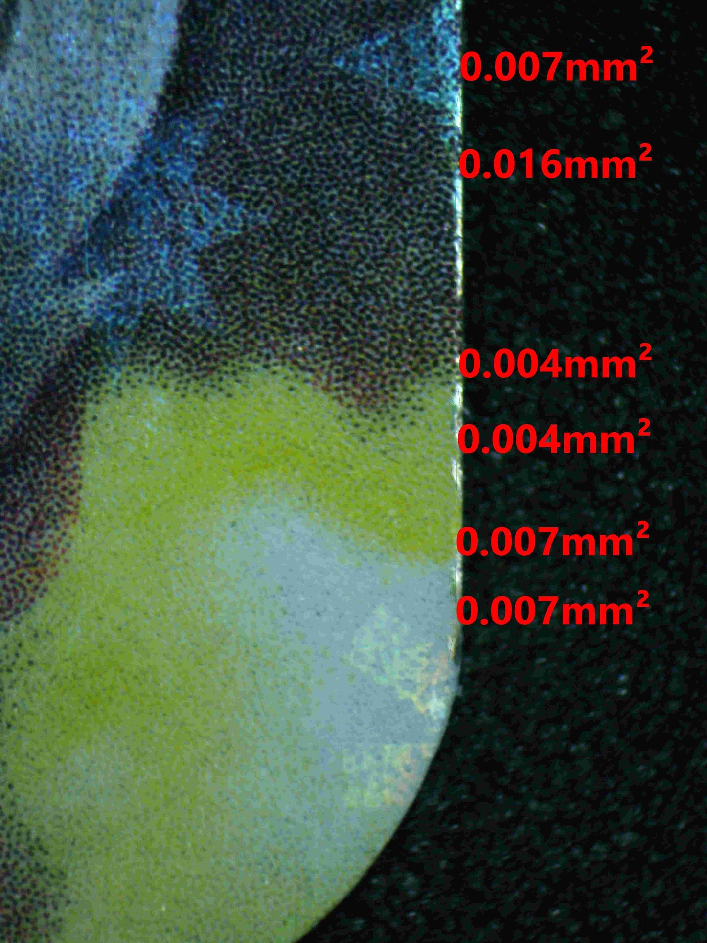 05094 MEW EX (SPANISH) - ValueUp