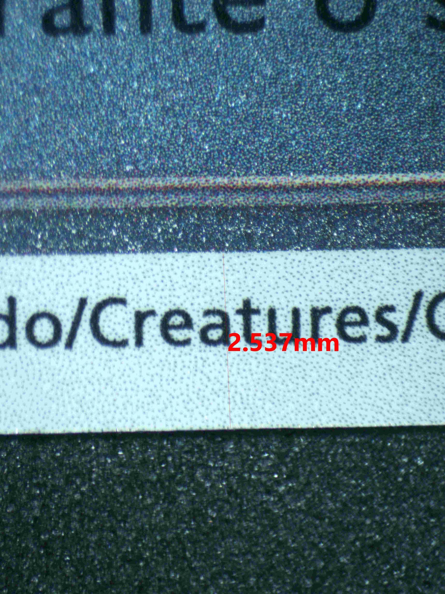 05096 BUDDY - BUDDY POFFIN (PORTUGUESE) - ValueUp