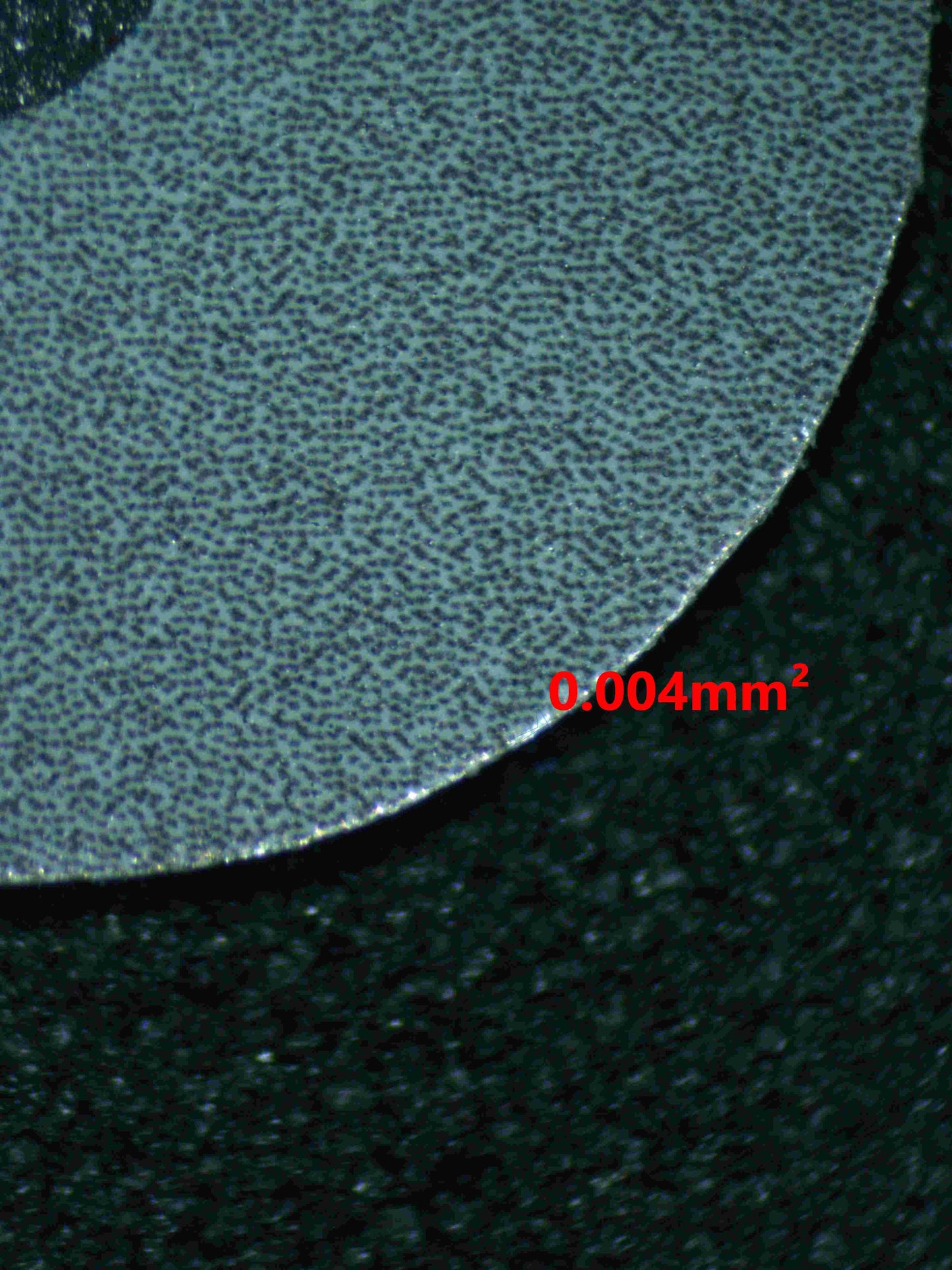 05096 BUDDY - BUDDY POFFIN (PORTUGUESE) - ValueUp