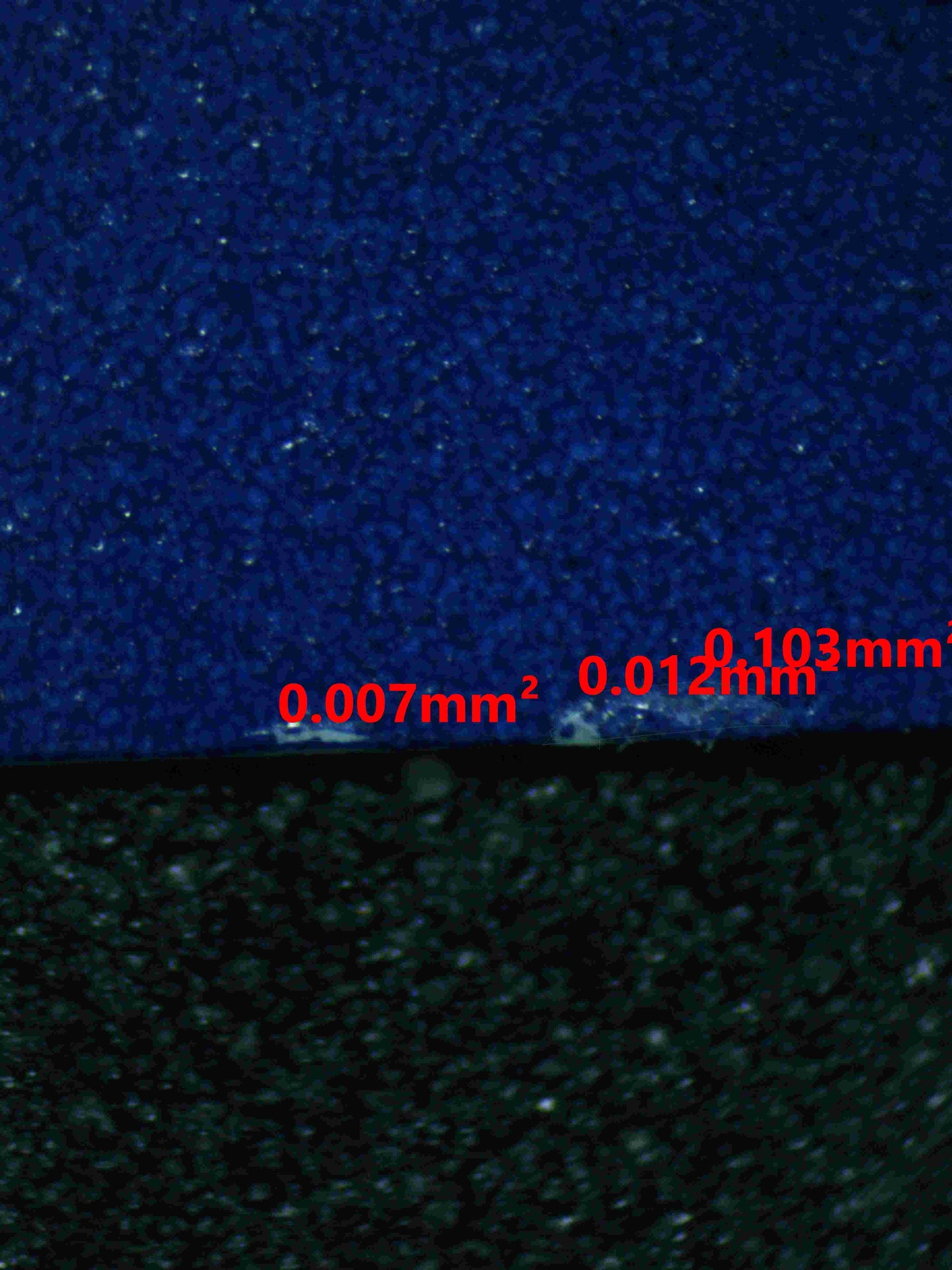 05096 BUDDY - BUDDY POFFIN (PORTUGUESE) - ValueUp