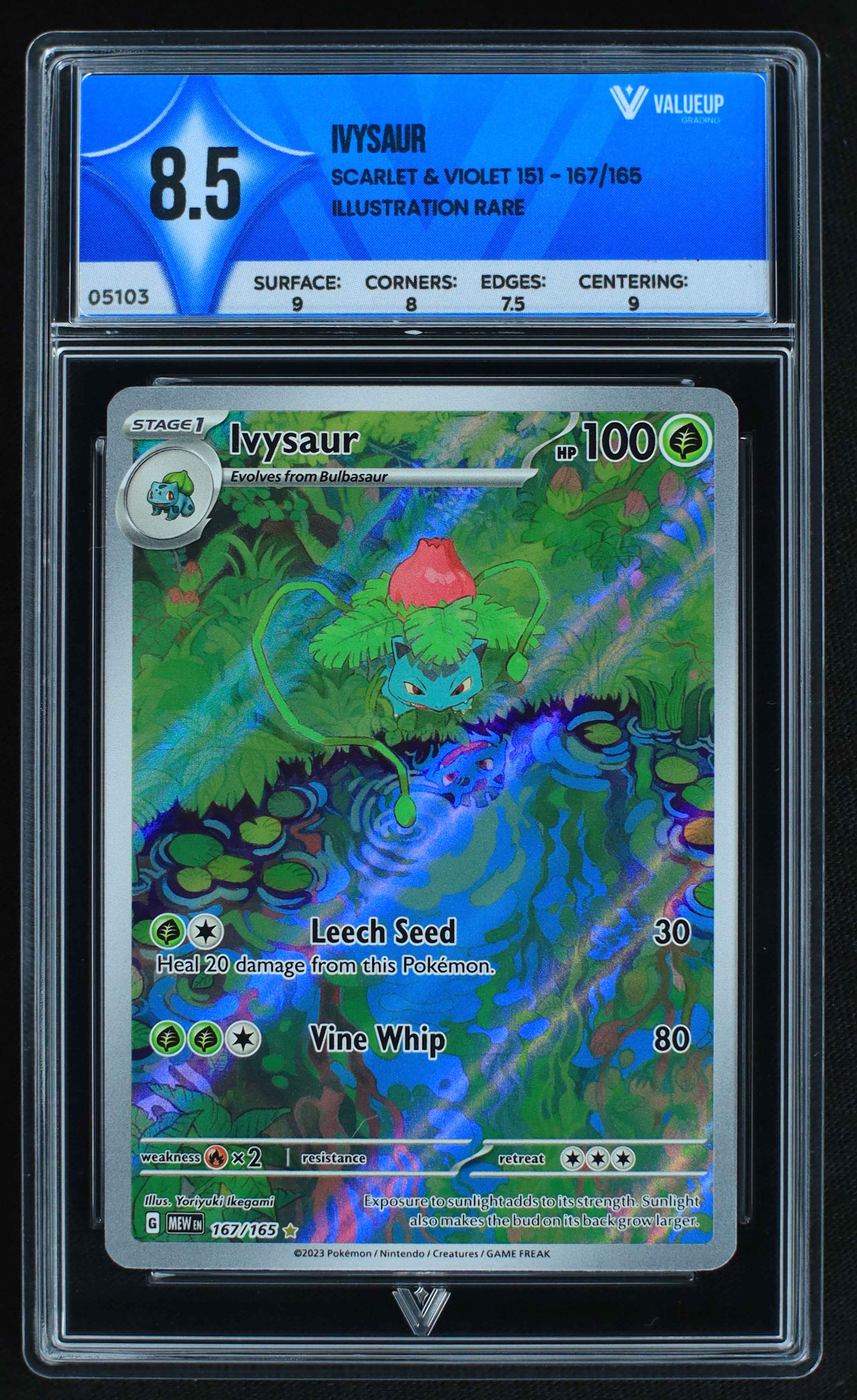 05103 IVYSAUR - ValueUp