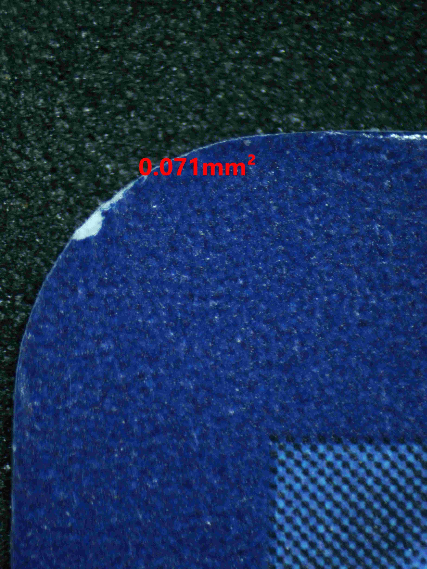 05105 ROARING MOON EX - ValueUp