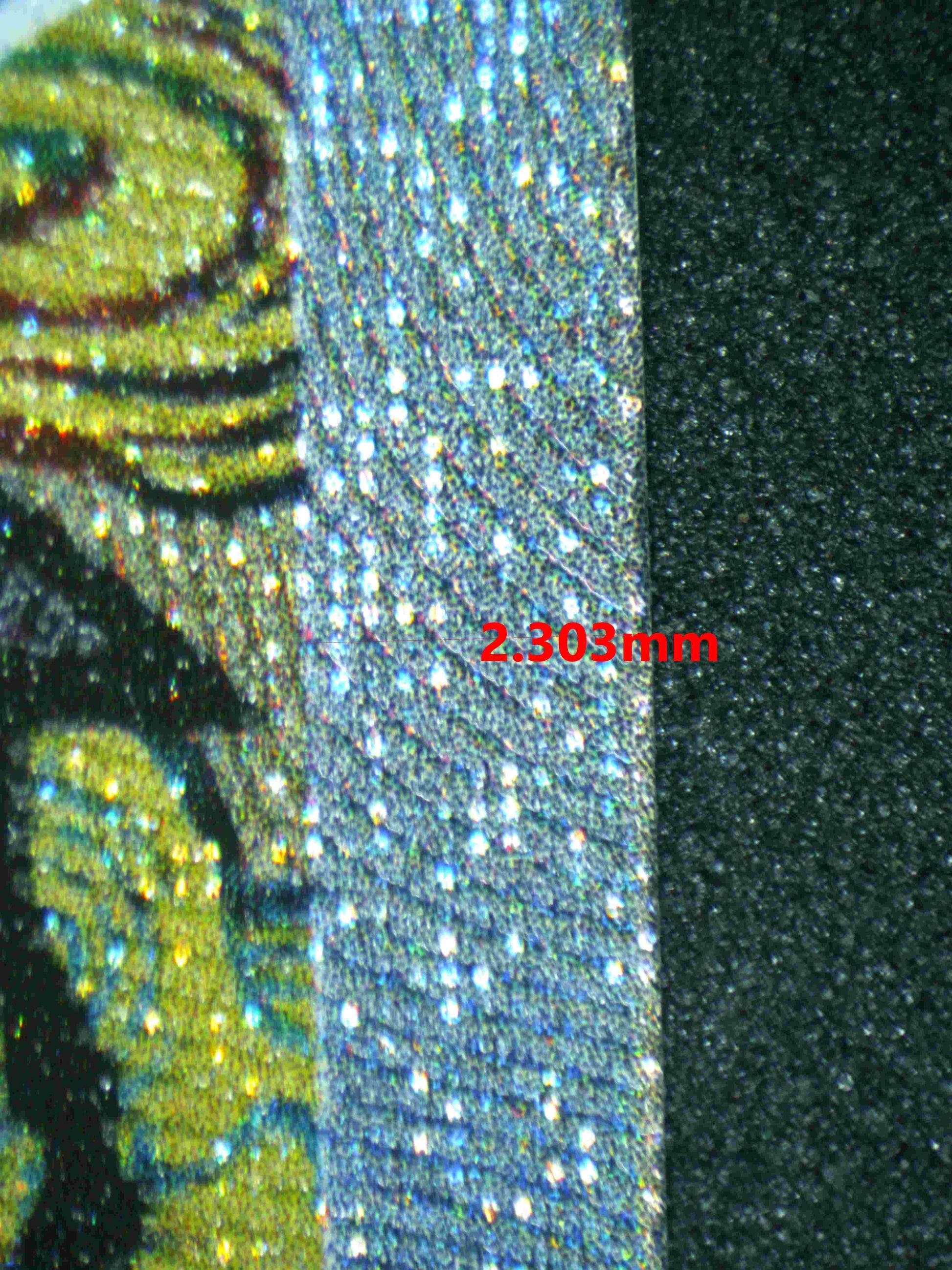 05105 ROARING MOON EX - ValueUp