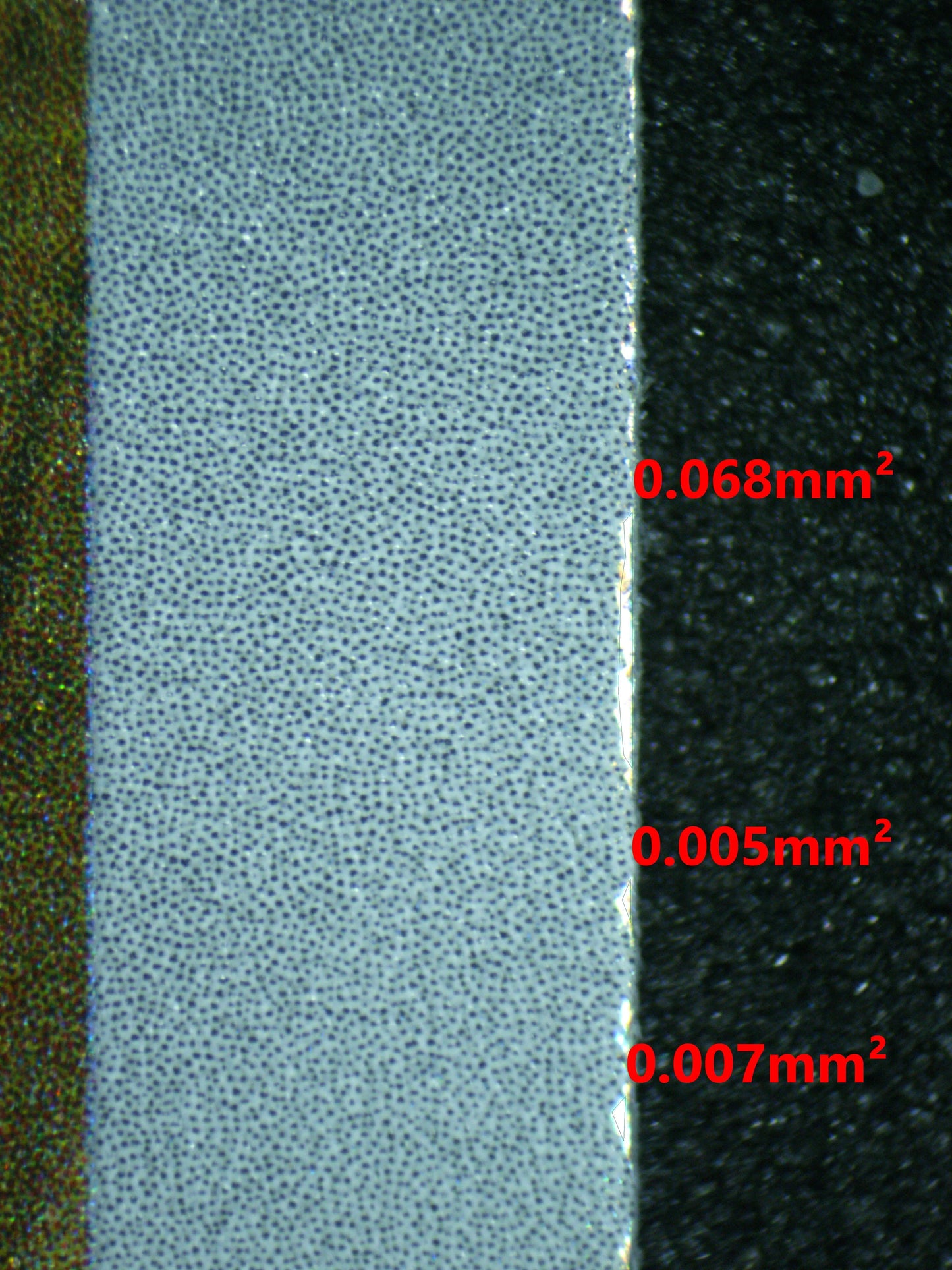 05120 NINETALES - ValueUp